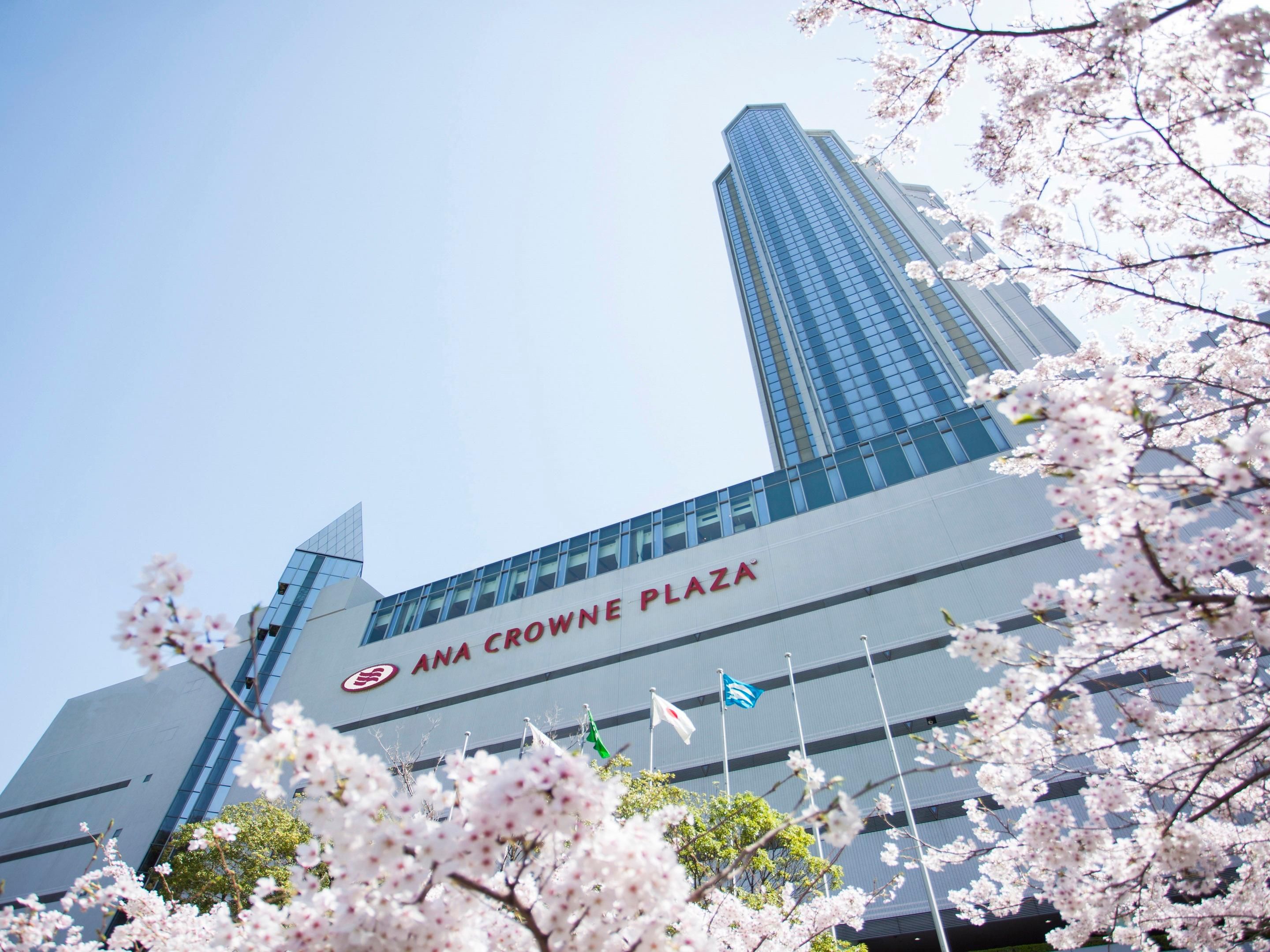 Temporada de Sakura en Kobe