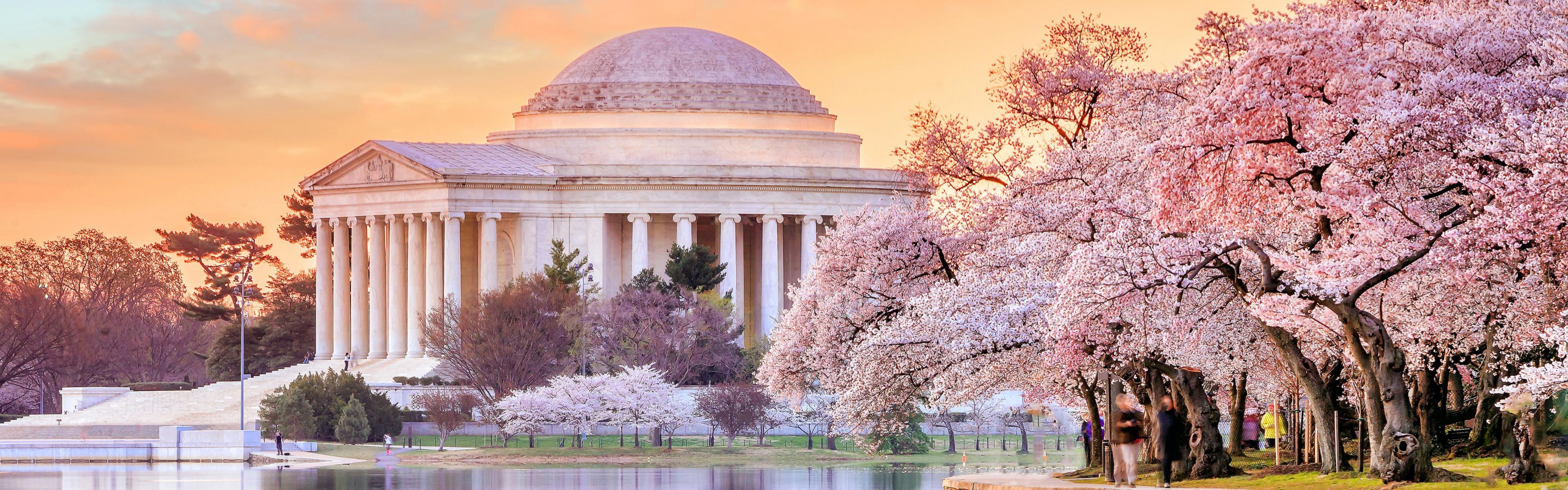 Easy access to DC’s Cherry Blossoms and Tidal Basin views.