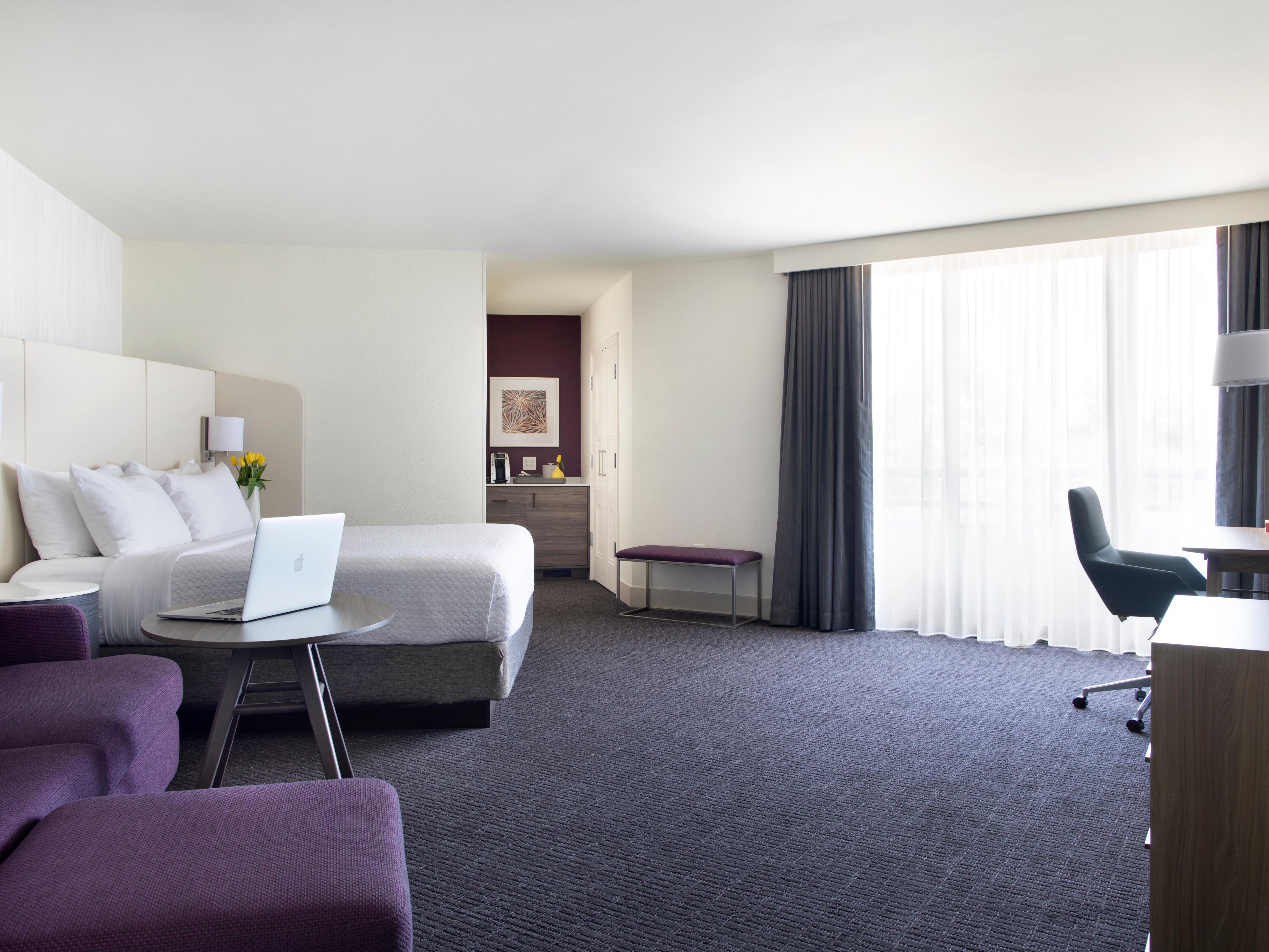 king bed suite with sofabed