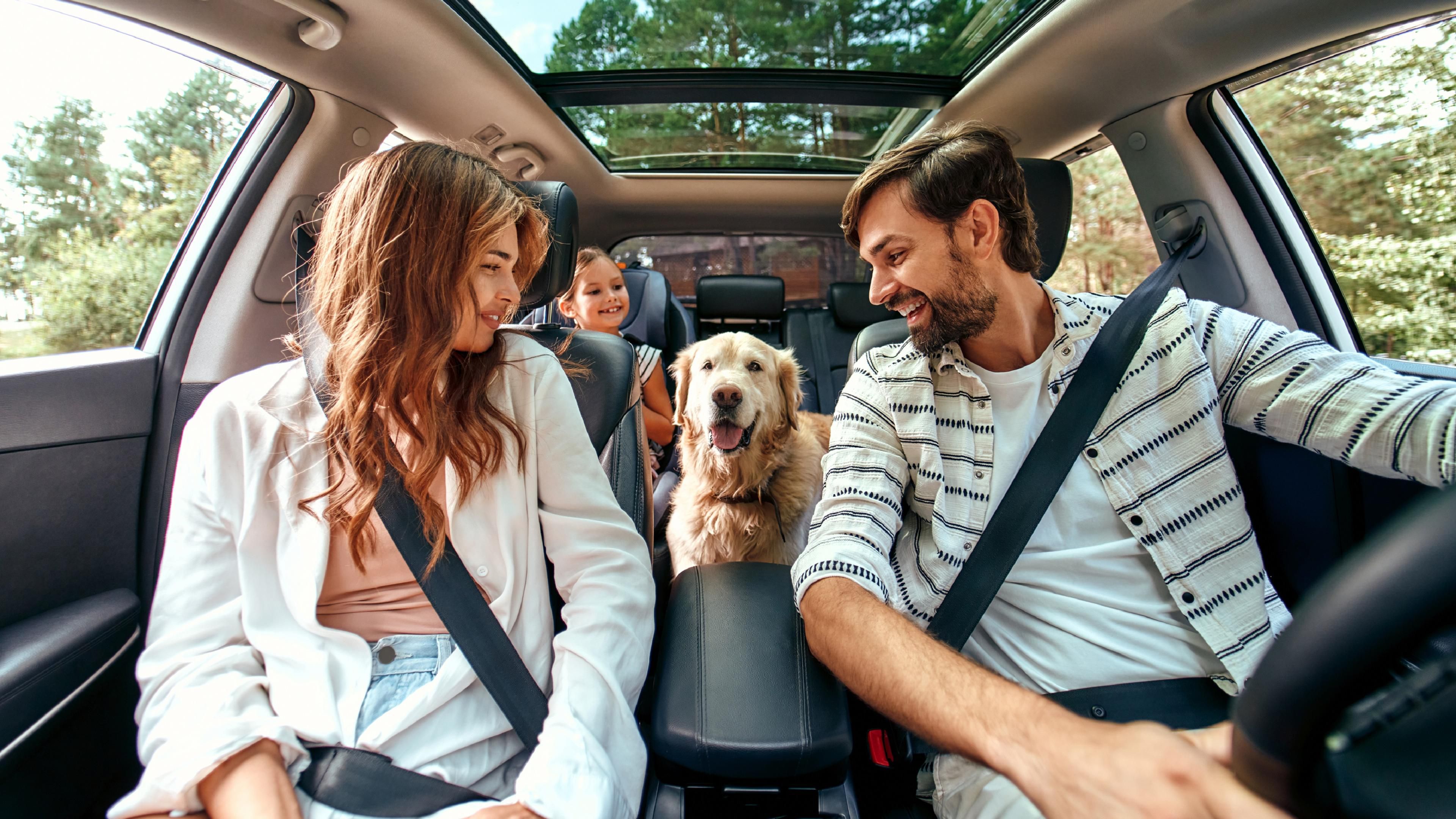Family riding with a dog in the car