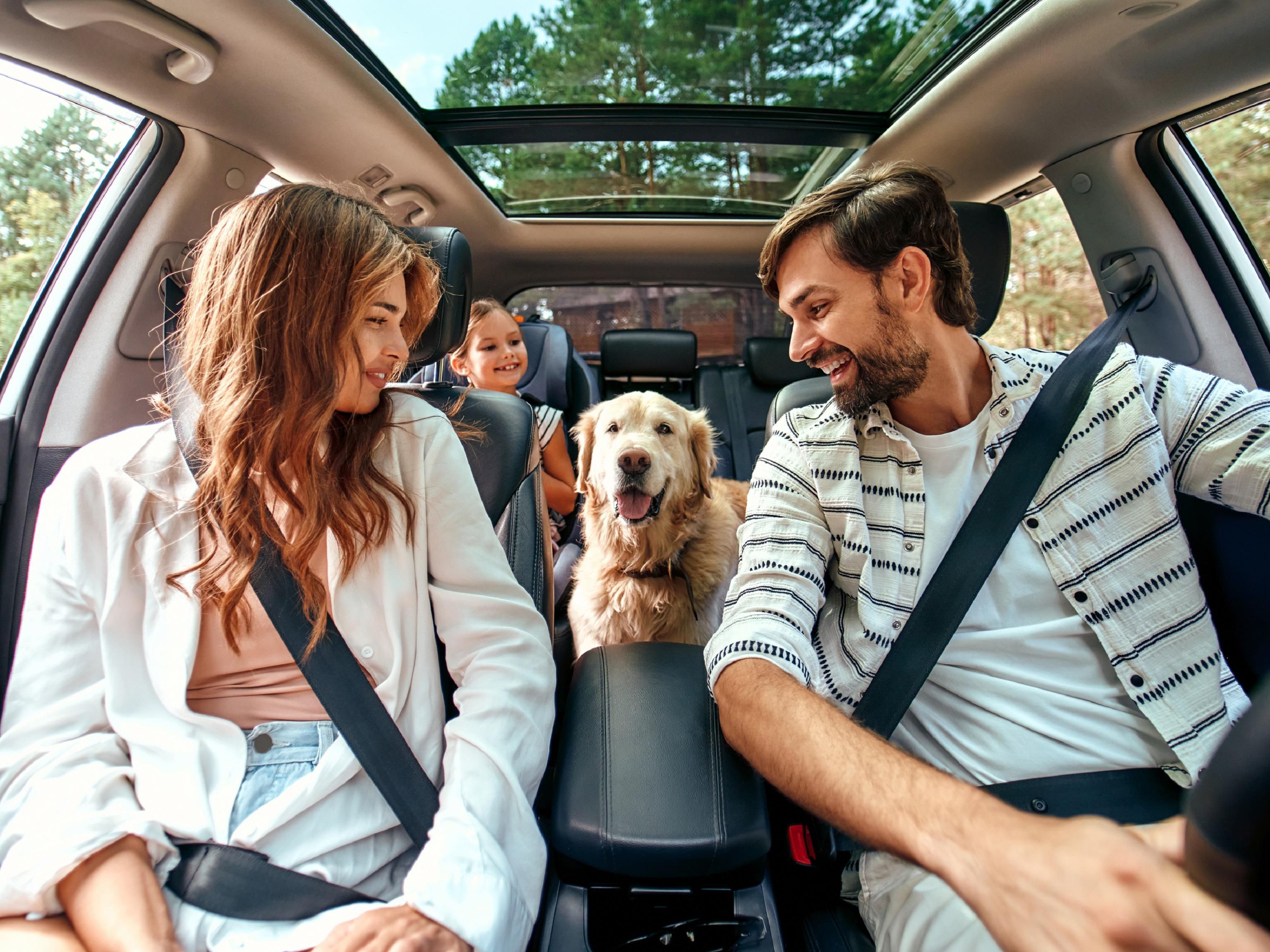 Family on a roadtrip with dog in the car