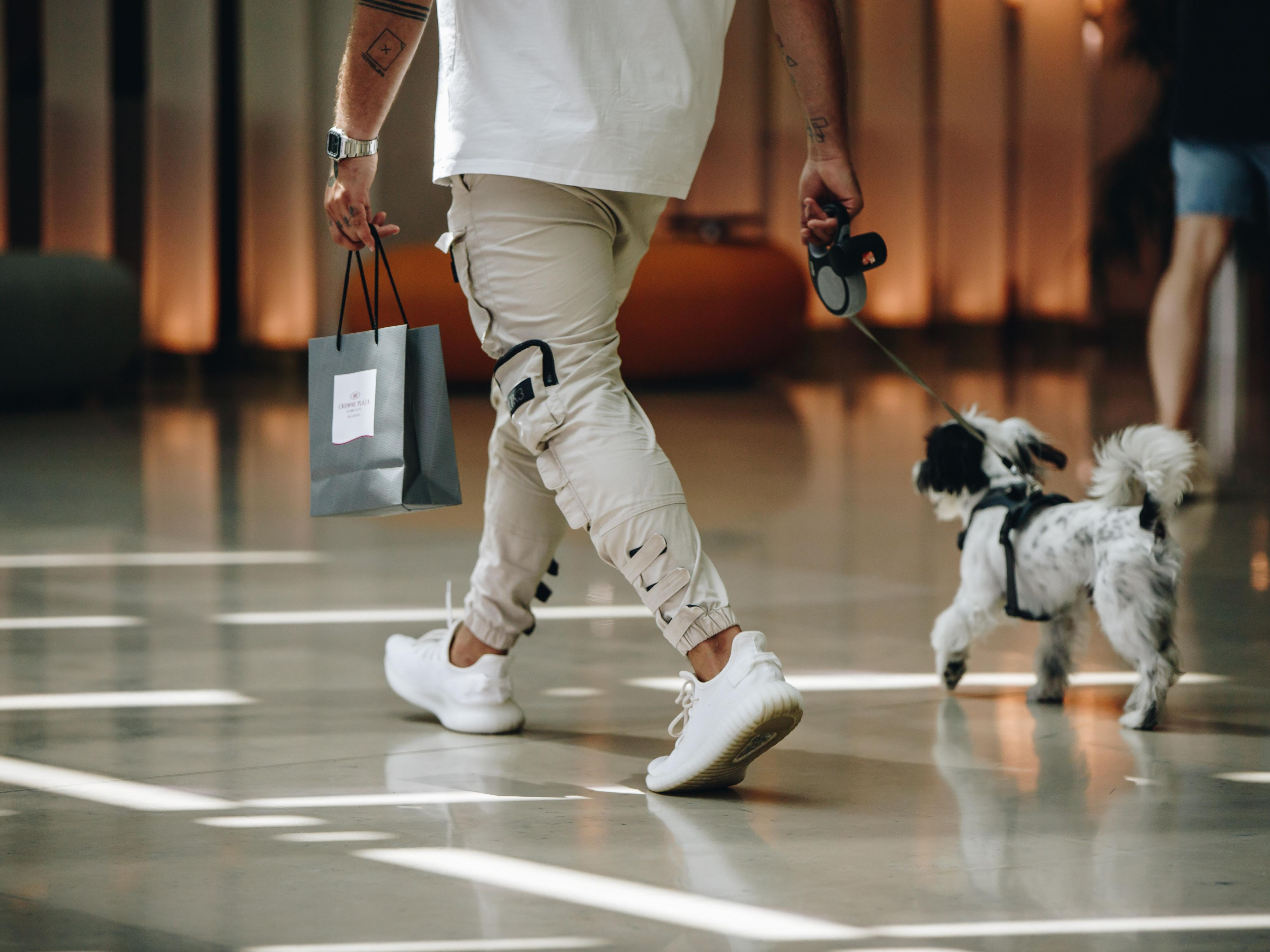 Our pet-tastic hotel welcomes furry guests with open arms and presents them with tail-wagging goody bags. Showcasing our commitment to making every stay unforgettable, these special treats will have your pets feeling like VIPs throughout their stay. Happy pets, happy owners – that's our promise!