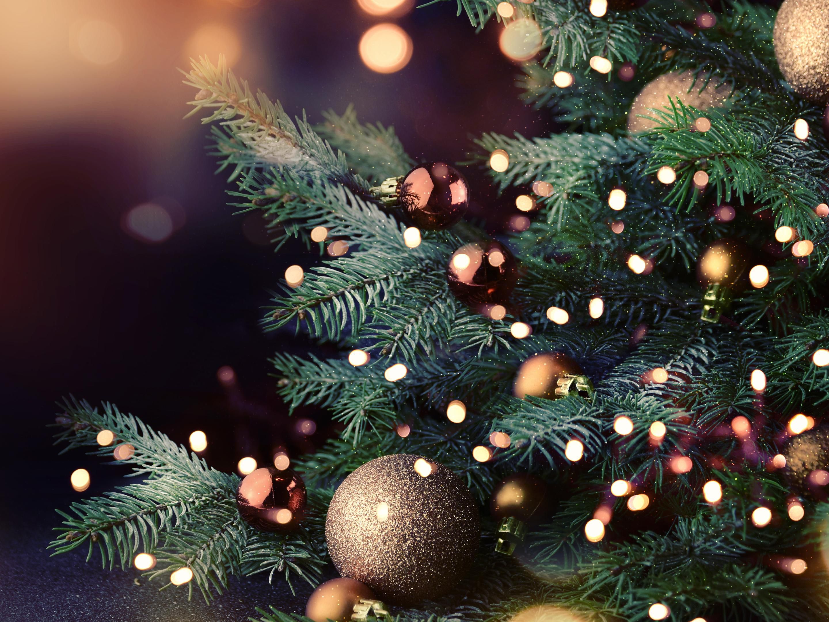 At Crowne Plaza Chester, we know how to make Christmas unforgettable. From cosy family gatherings to dazzling party nights, there’s something for everyone. With our expert team and thoughtful service, we’ll help you create a celebration that’s not just any Christmas — it’s uniquely yours. Download our brochure and start planning today.