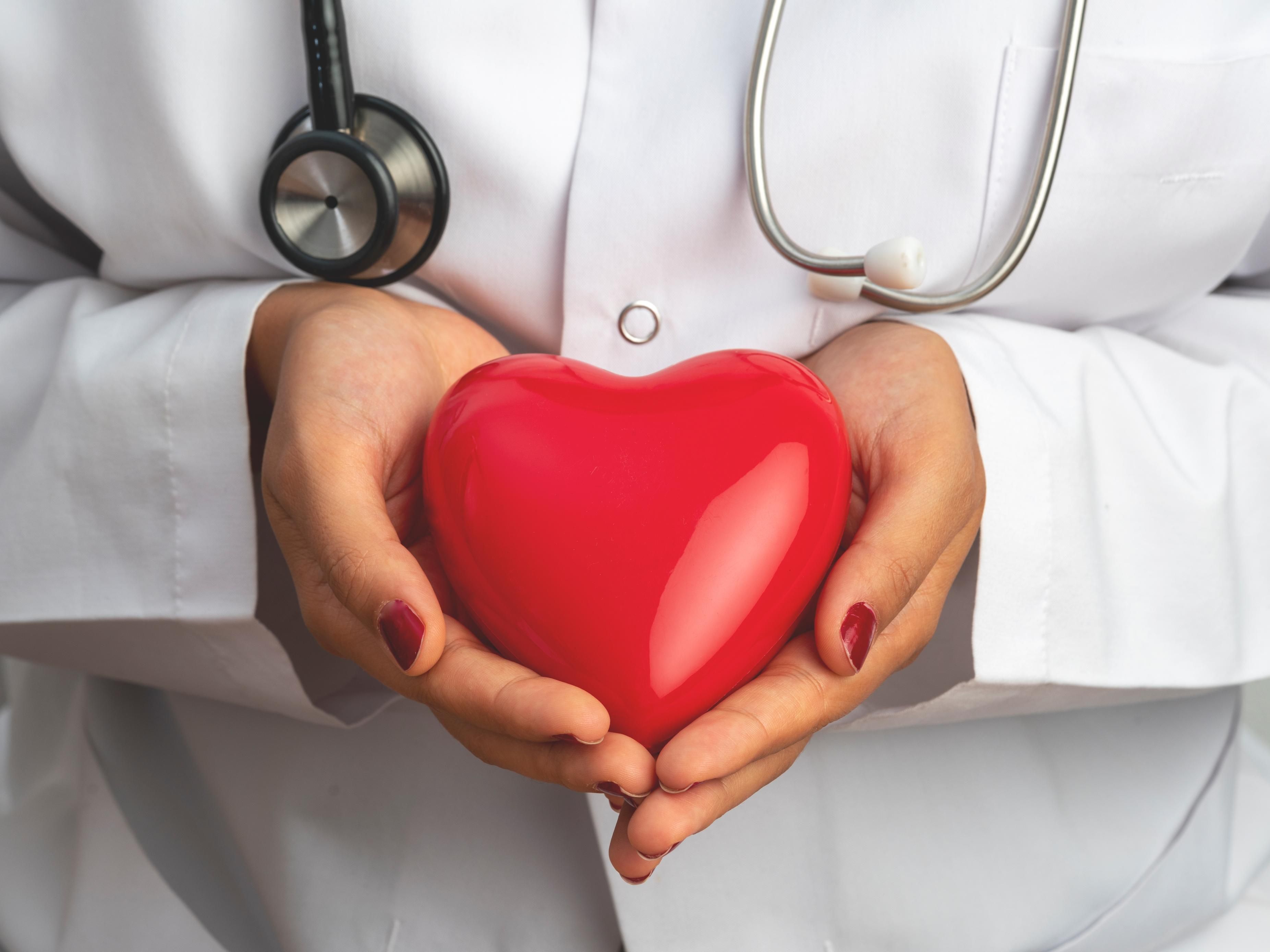 Doctor holding heart