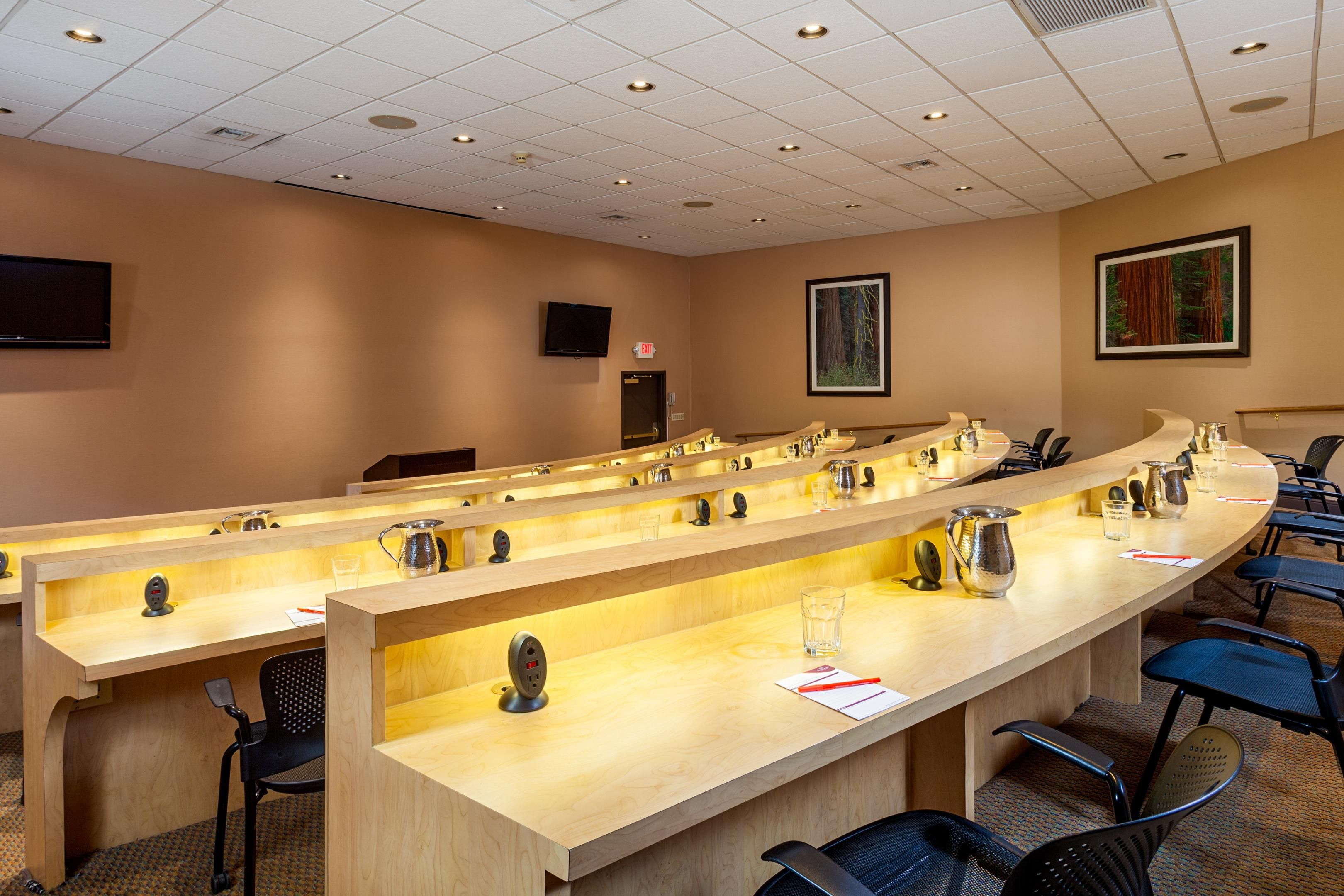 Plan your meeting at the Sequoia Theatre Room at the Crowne Plaza