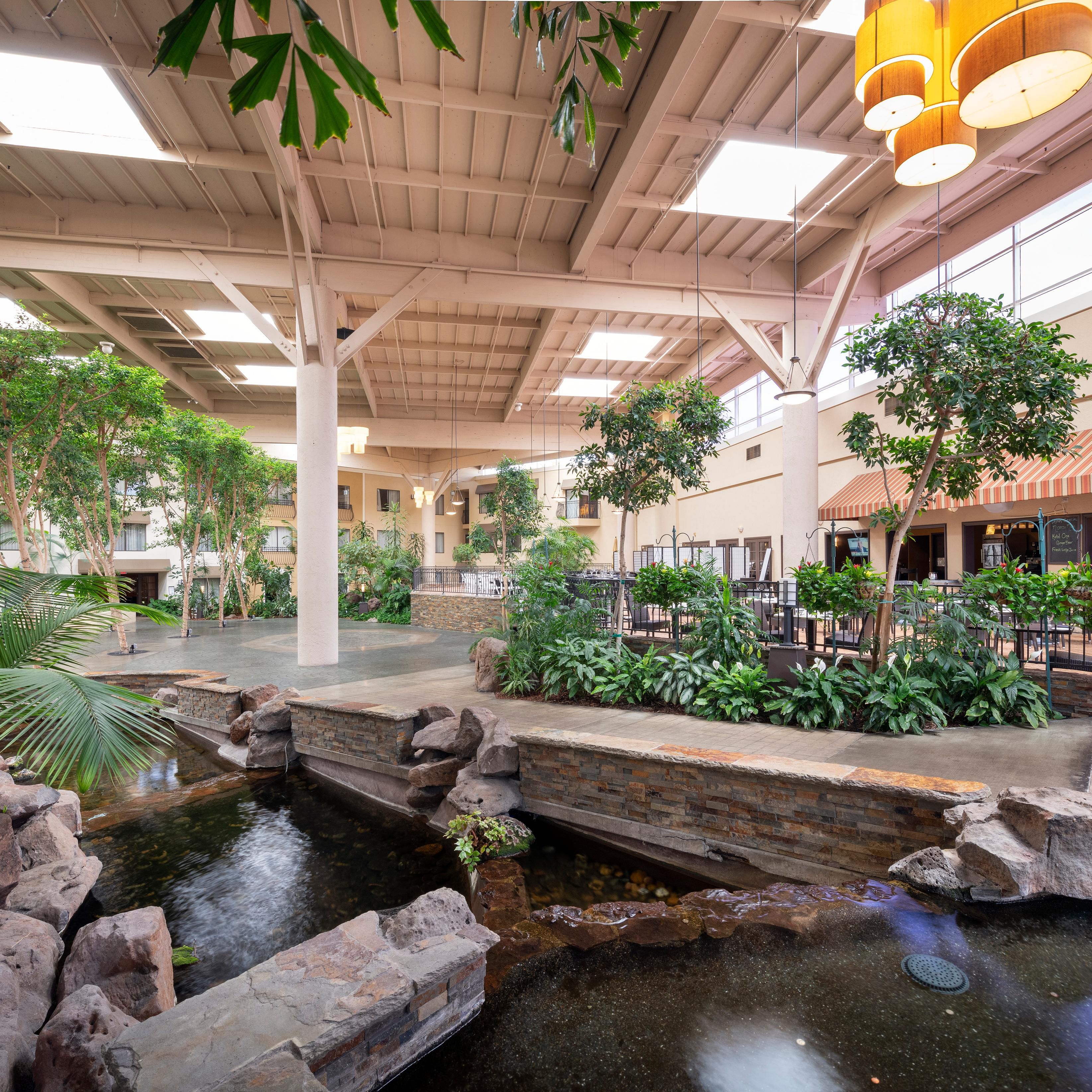 Take in lush greenery in our lobby Atrium