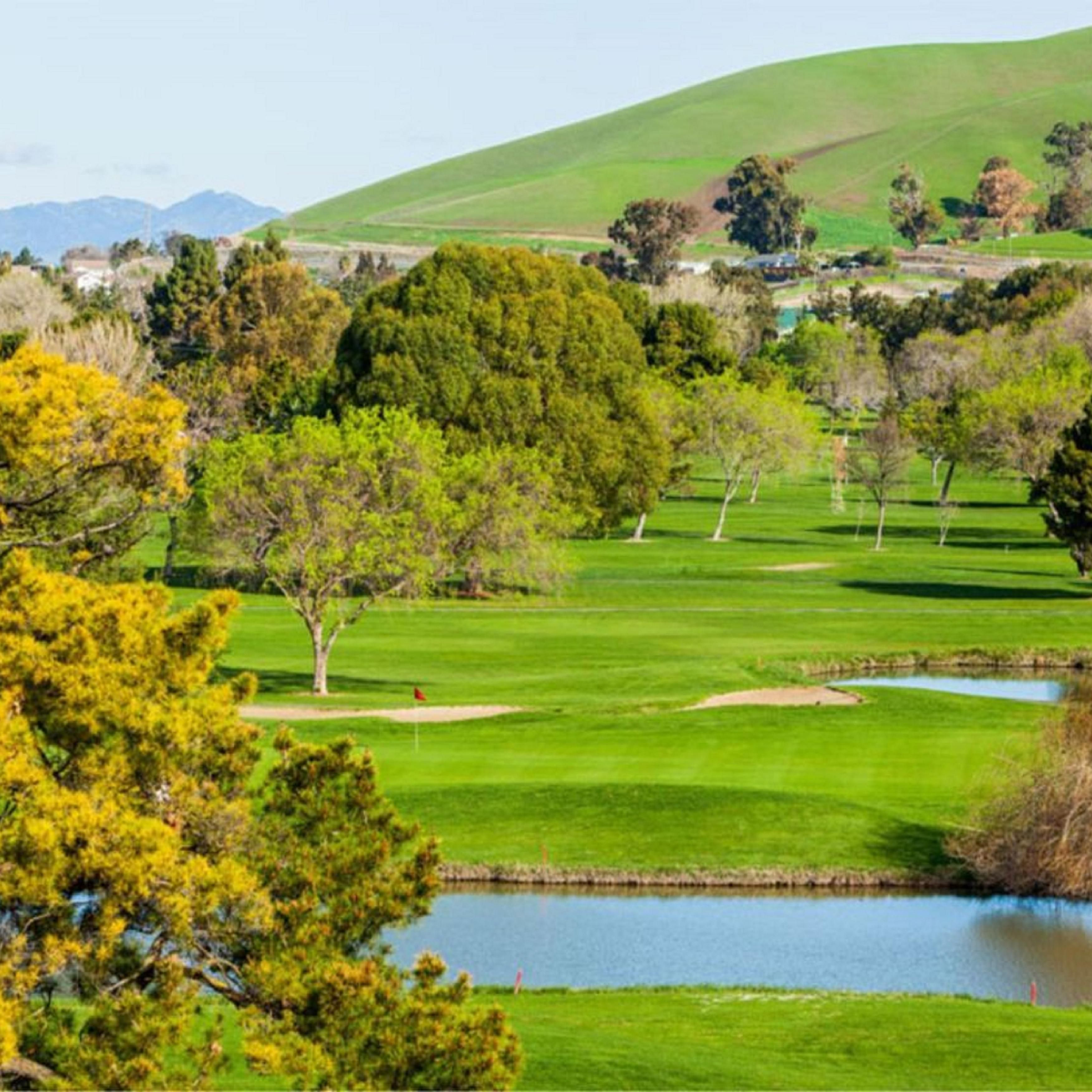 Visit a beautiful local golf course on your next business trip.