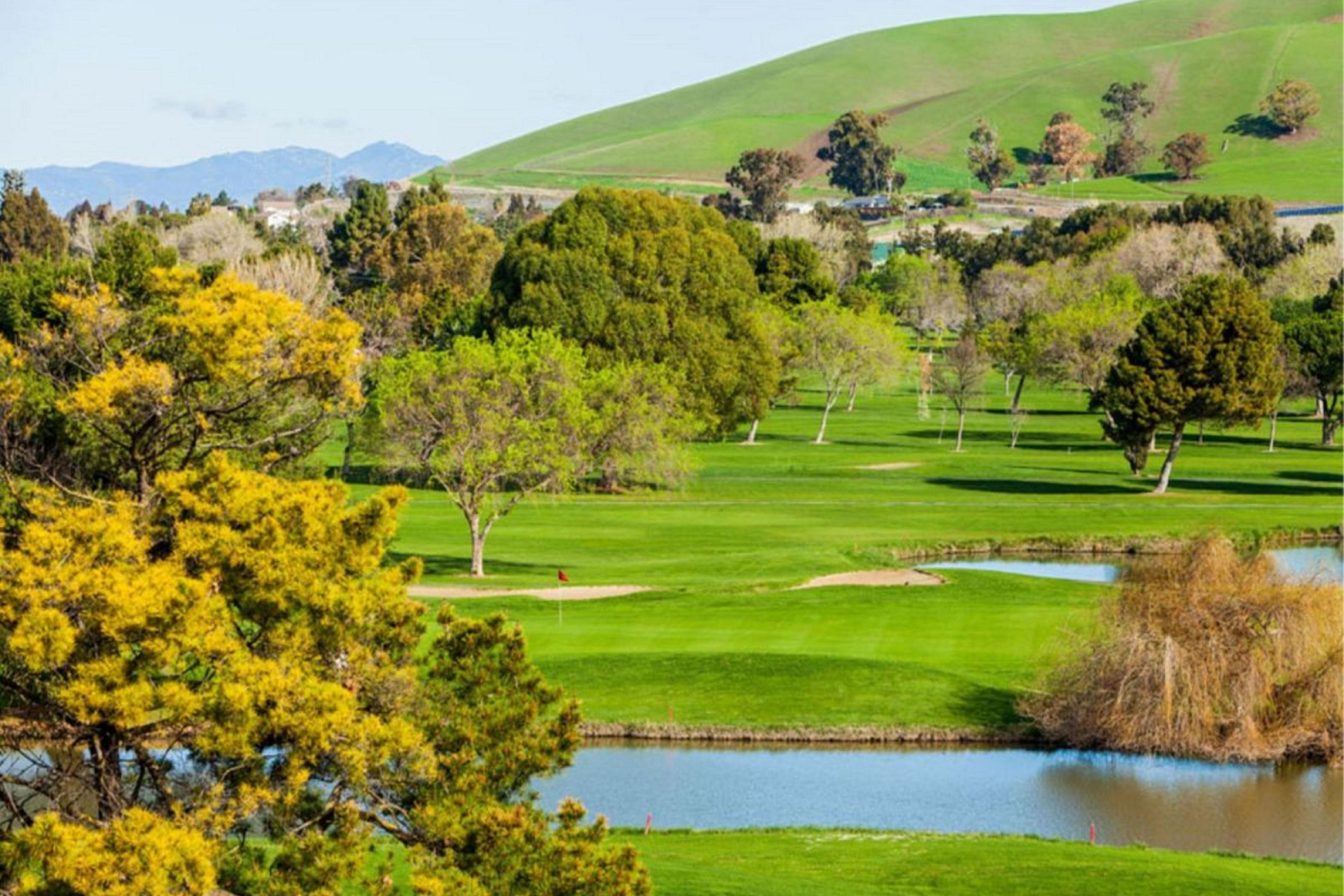 Visit a beautiful local golf course on your next business trip.