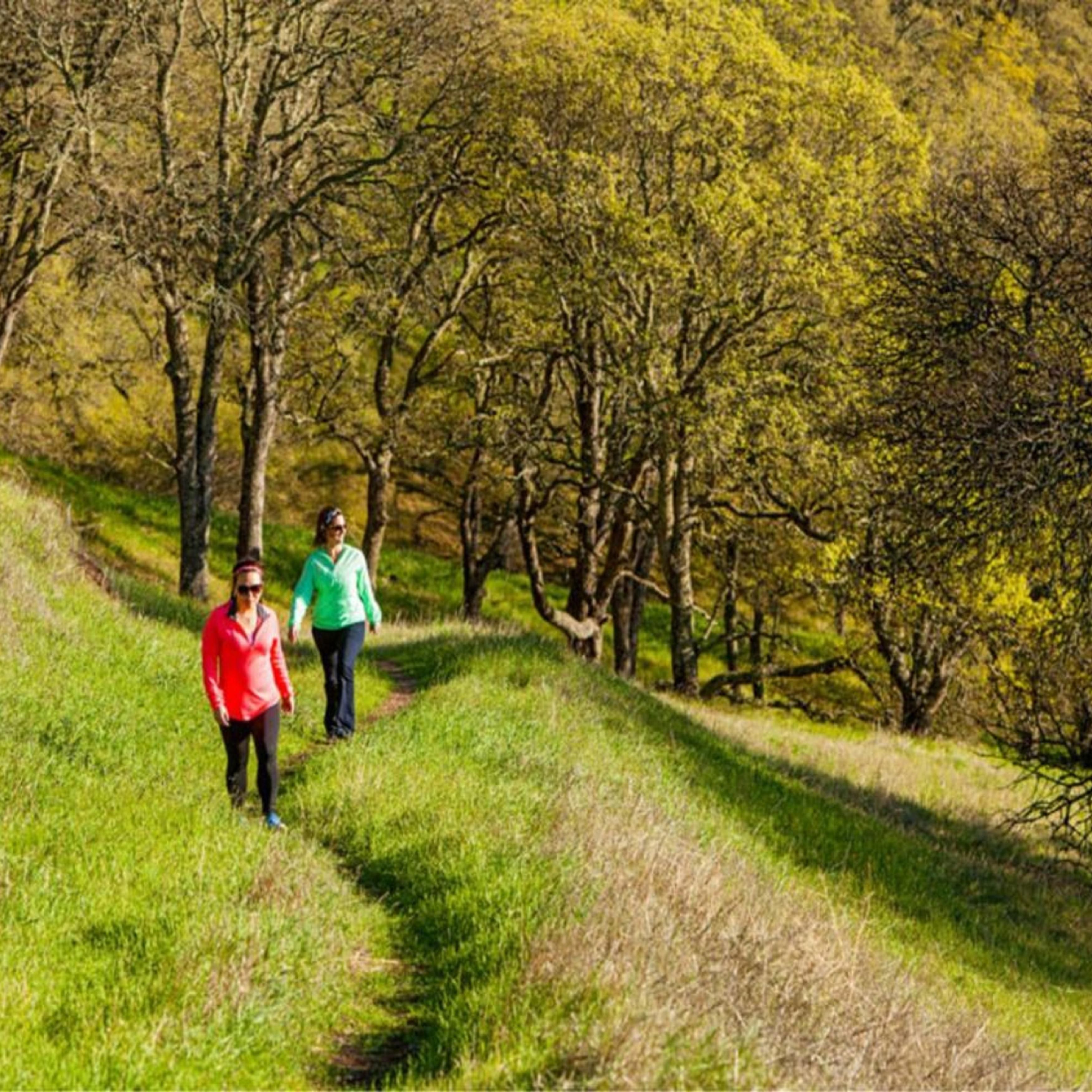 Hike on Mt. Diablo on your visit to the Crowne Plaza Concord. 