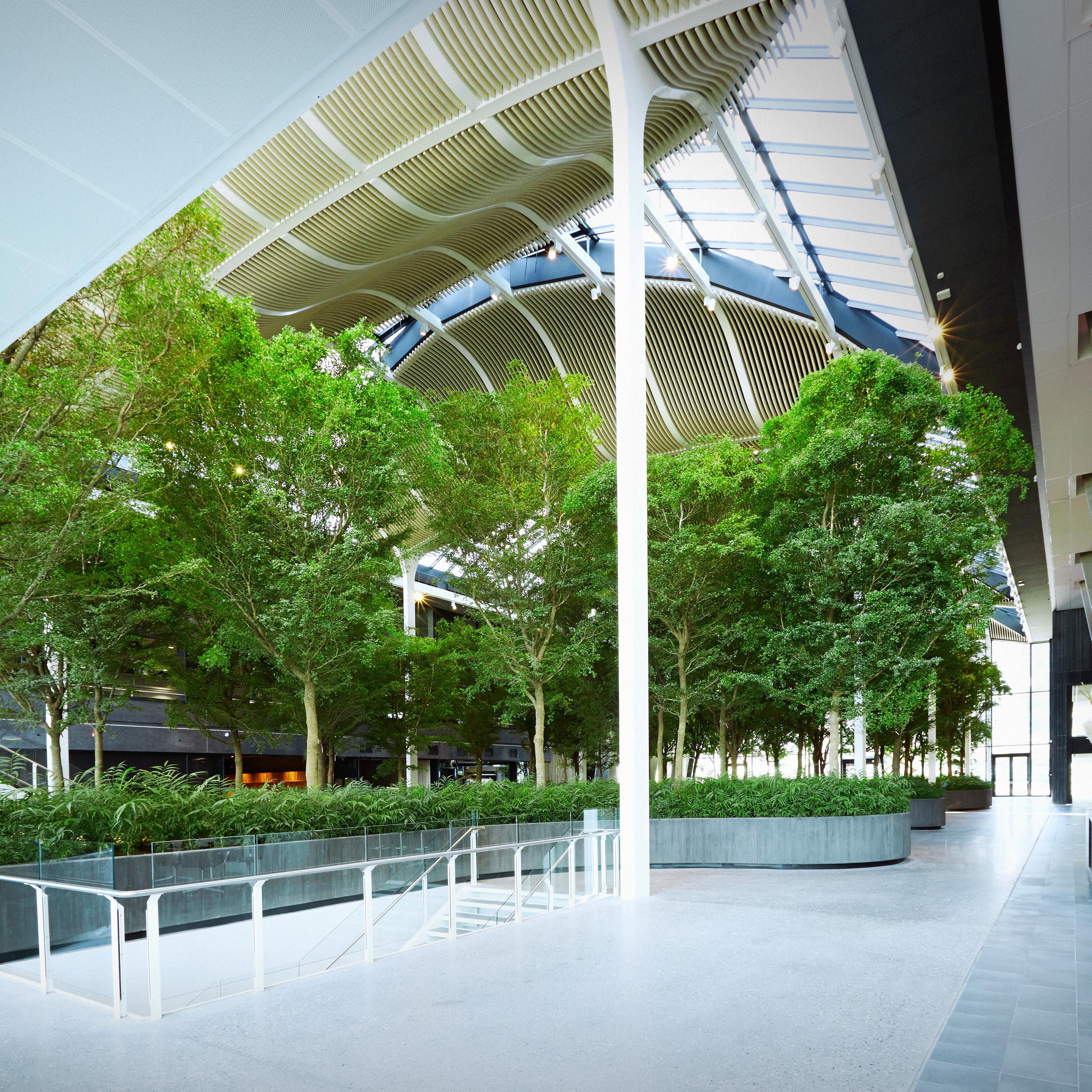 Our Atrium is 1,400 sqm with 60 trees and 4500 plants