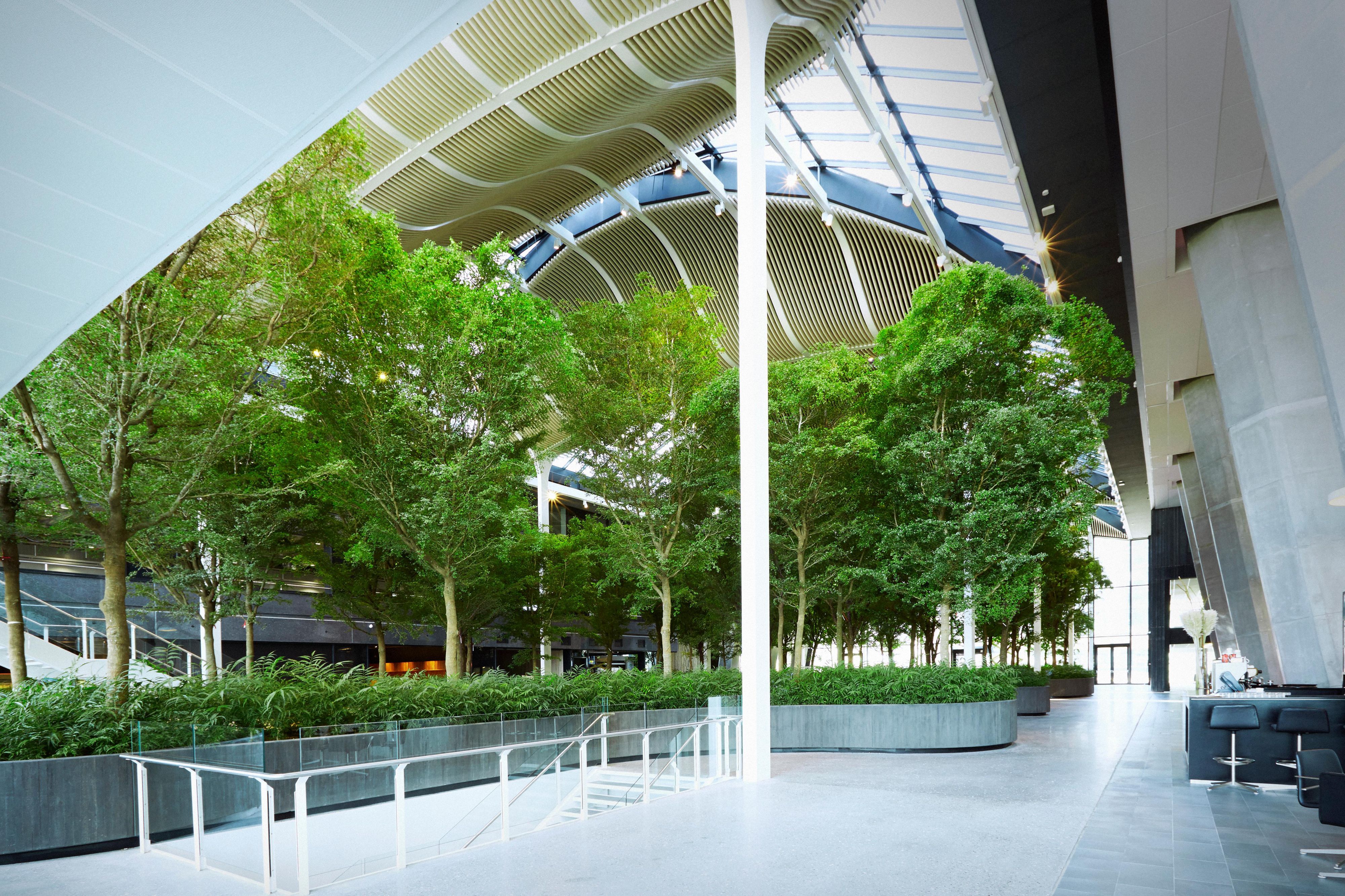 Our Atrium is 1,400 sqm with 60 trees and 4500 plants