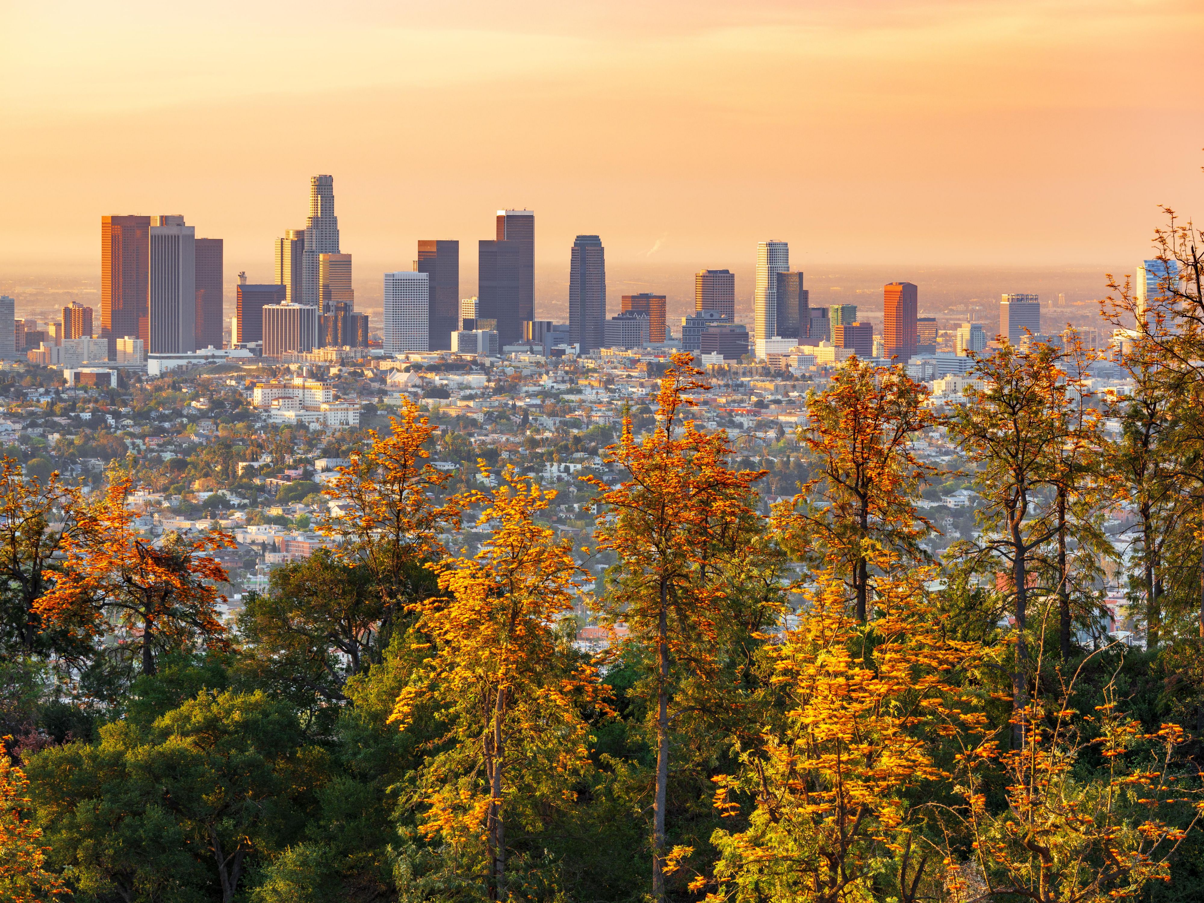 Discover the best of Orange County from our prime location near Fortune 500 companies and Orange County's top attractions. Catch a concert or show at the renowned Segerstrom Center for the Arts, visit the Orange County Museum of Art, tee off with 18 holes at Strawberry Farms Golf Club, and bask in the sun at California's world-famous beaches.