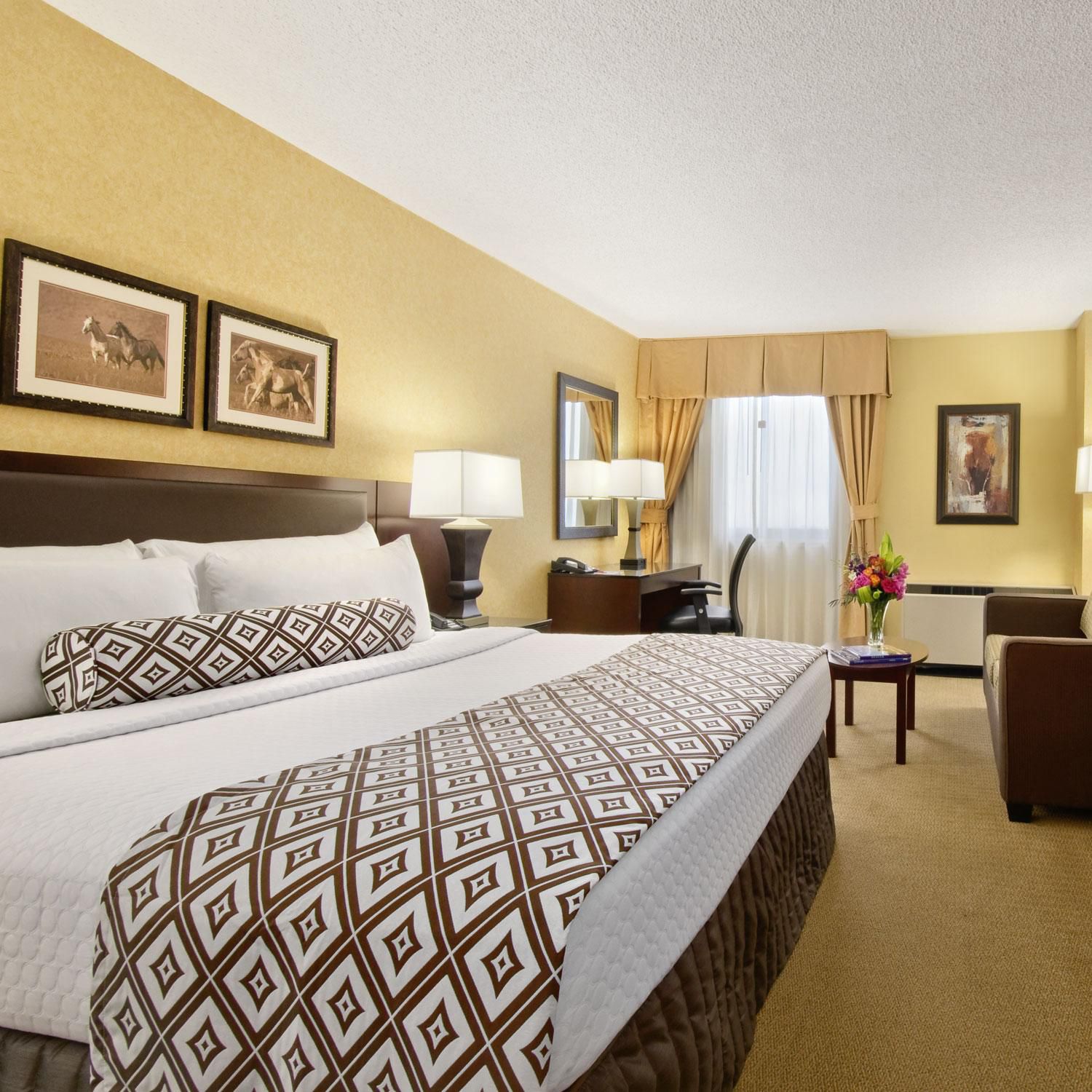 Make yourself at home in our King Bed Guest Rooms