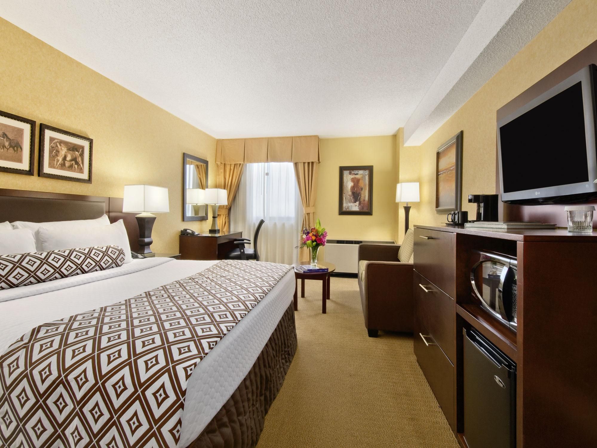 غرفة نزلاء بسرير كبير جداً