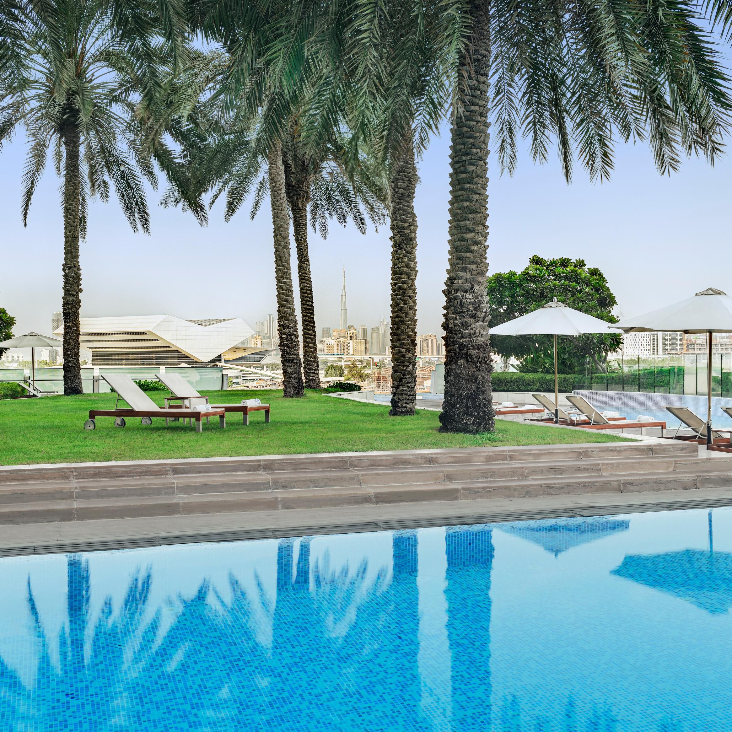 Swim in 25 meter pool and chill under palm trees with city view