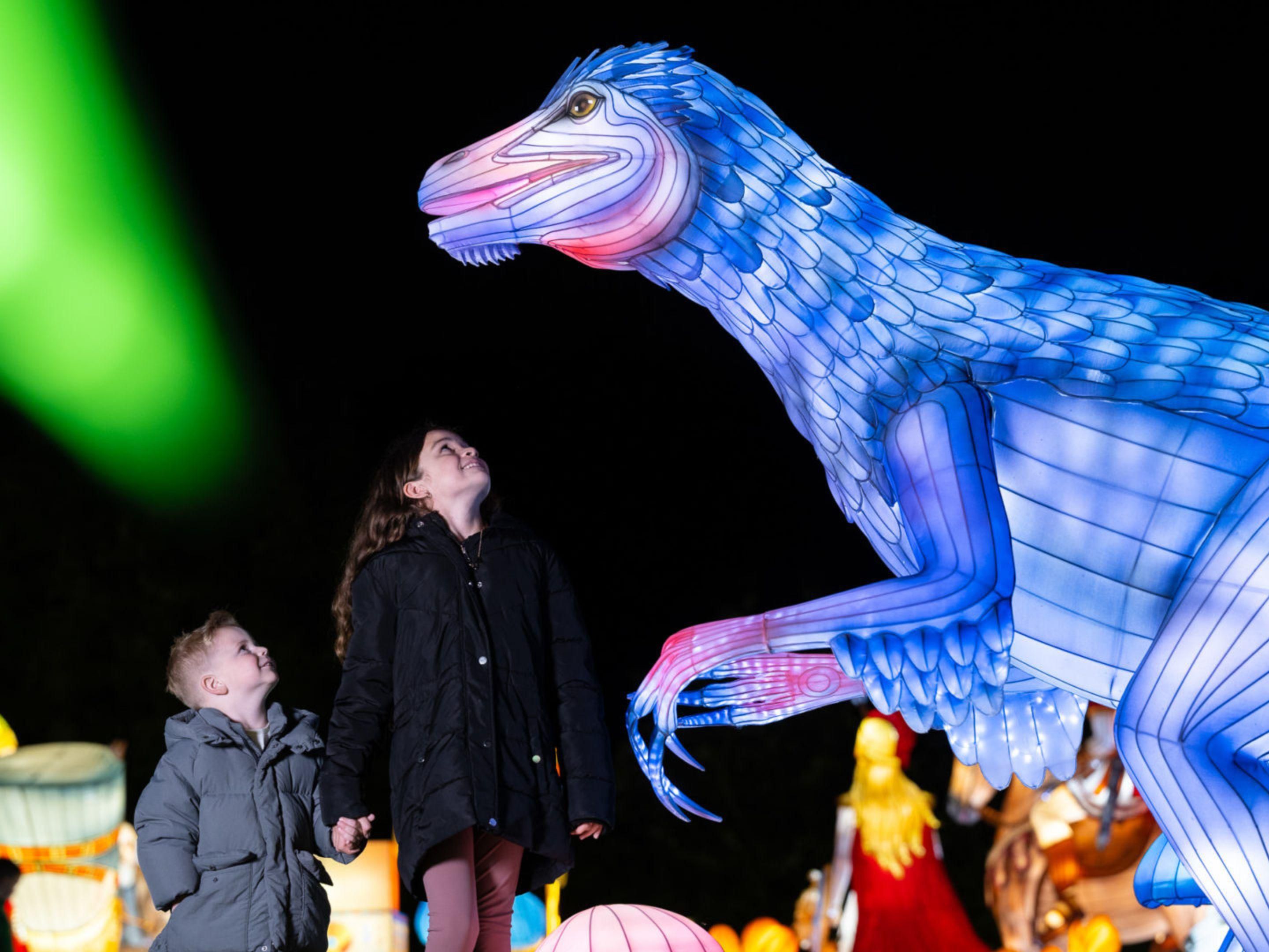 Experience the magic of Wild Lights at Dublin Zoo this November, just a 20-minute drive from Crowne Plaza Dublin Blanchardstown! This dazzling display of lanterns and light installations is the perfect family outing, offering a blend of art, nature, and fun. Book your stay with us and enjoy one of Dublin's most enchanting attractions this season!