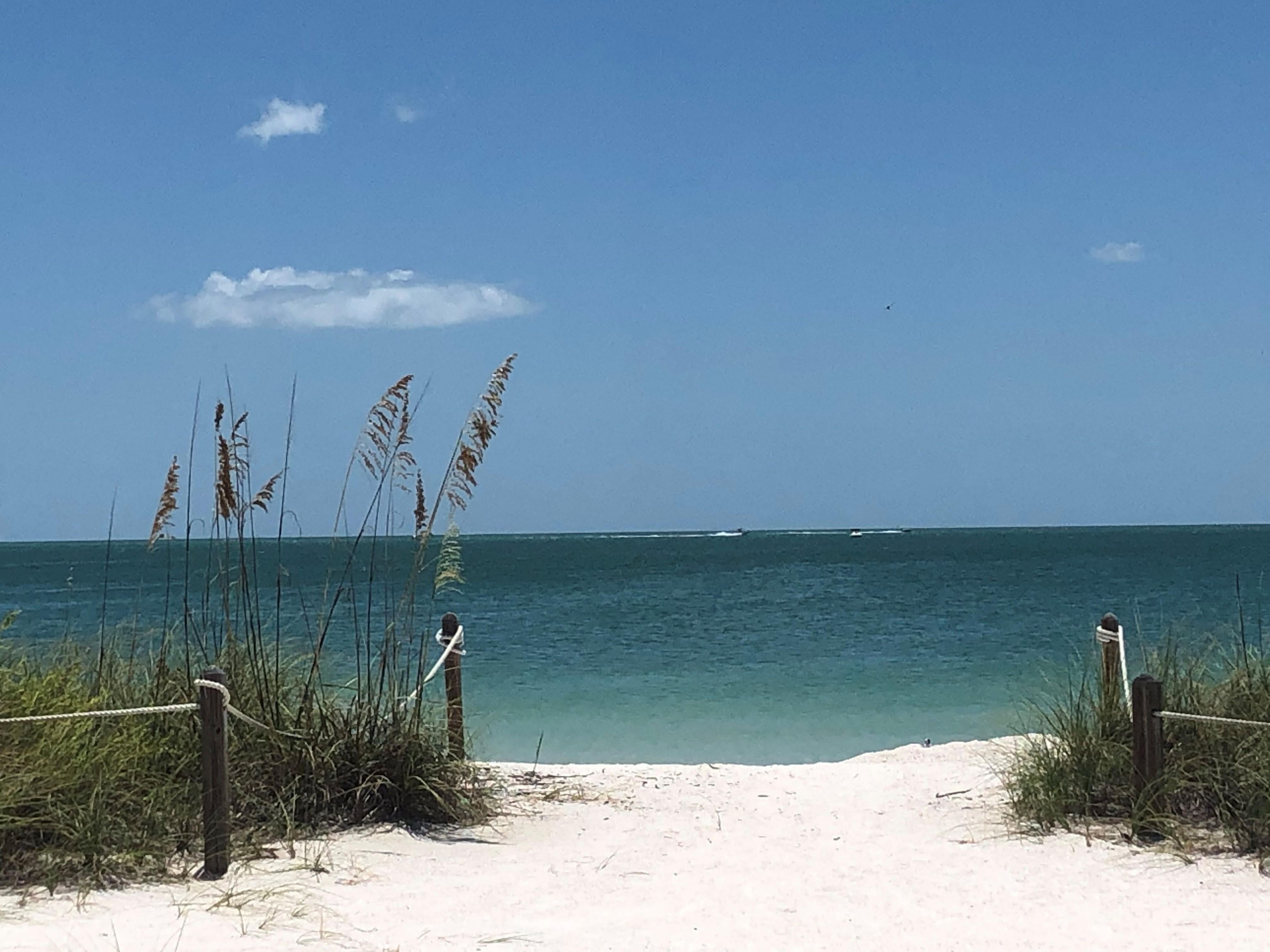 Follow us in our social media networks and connect with us.