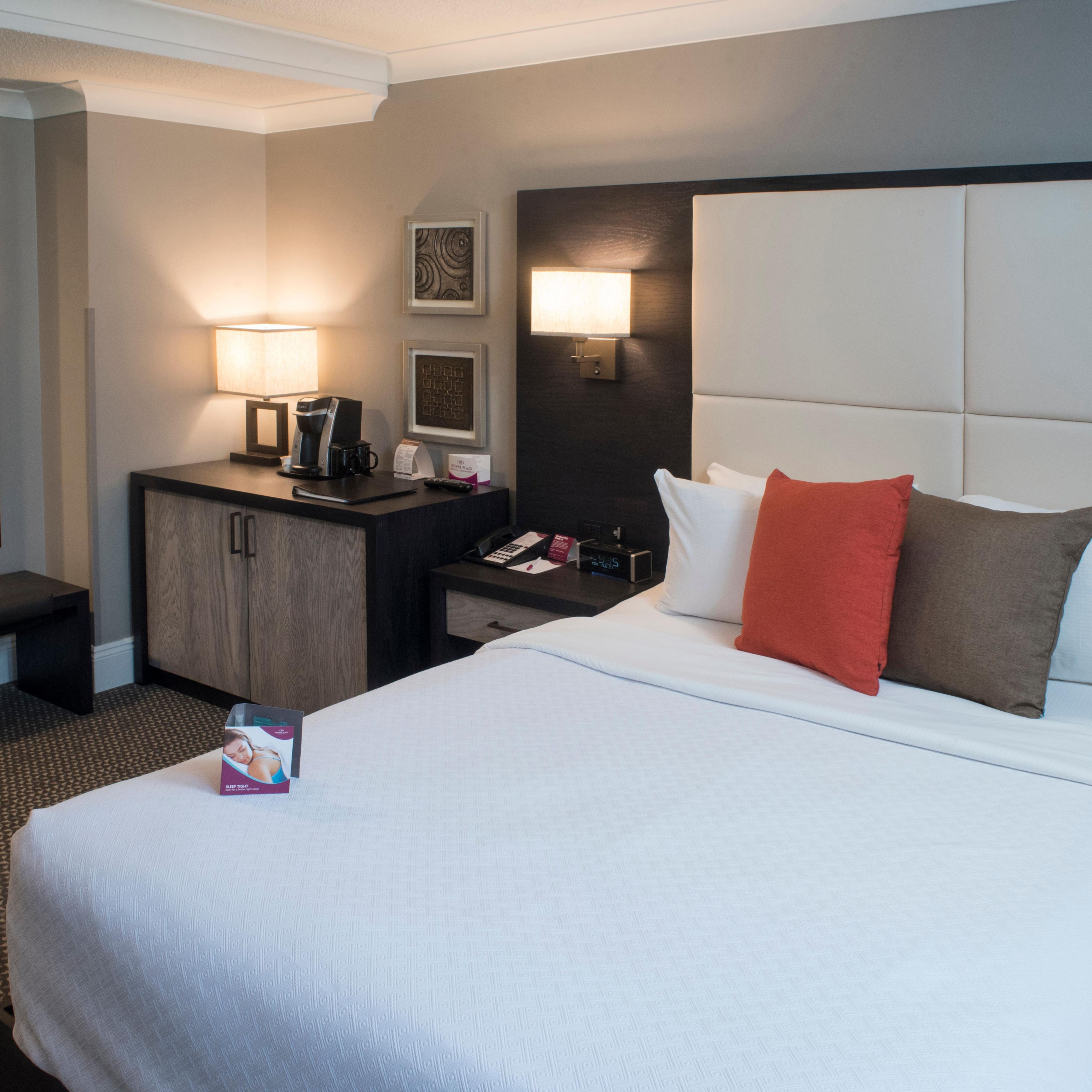 Our newly renovated Queen Bed guest rooms offer stylish comfort 