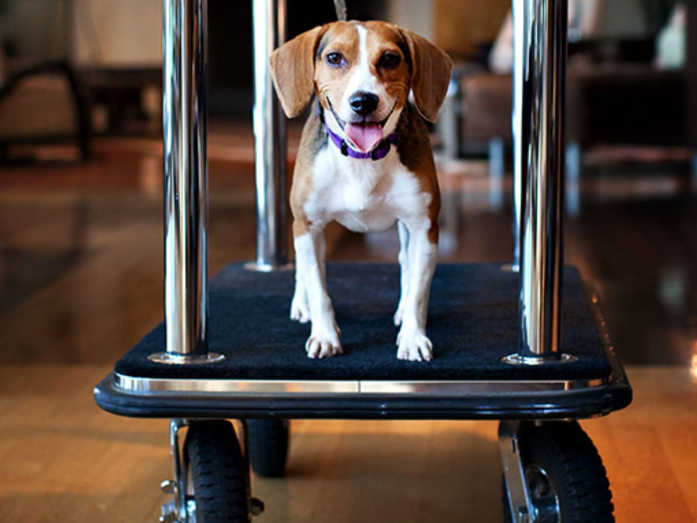 Hotels in Fredericton, NB Canada Crowne Plaza FrederictonLord