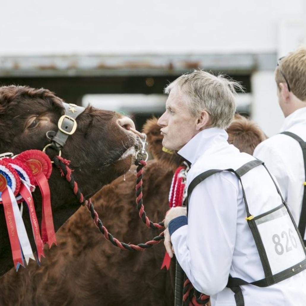 Great Yorkshire Show, a 3 day agricultural show at its besttH