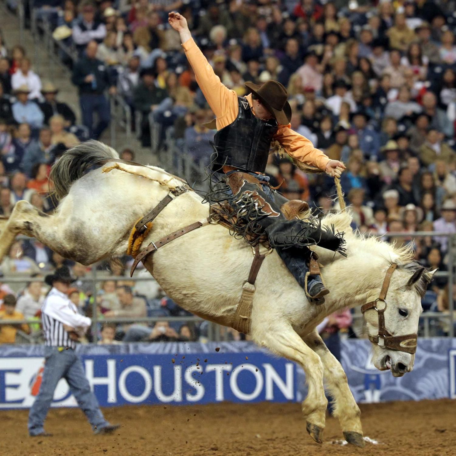 RodeoHouston is our city&#39;s signature annual event!