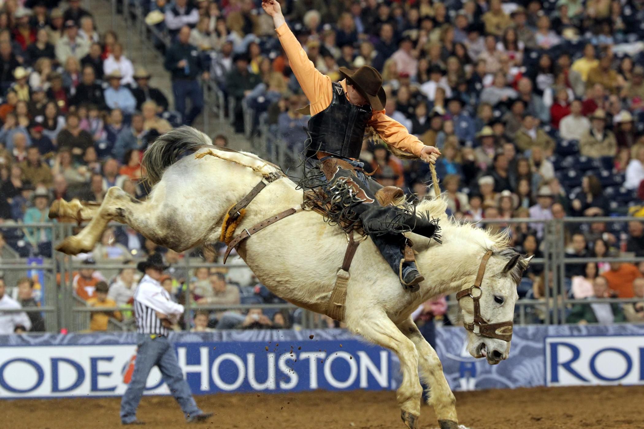 RodeoHouston is our city&#39;s signature annual event!