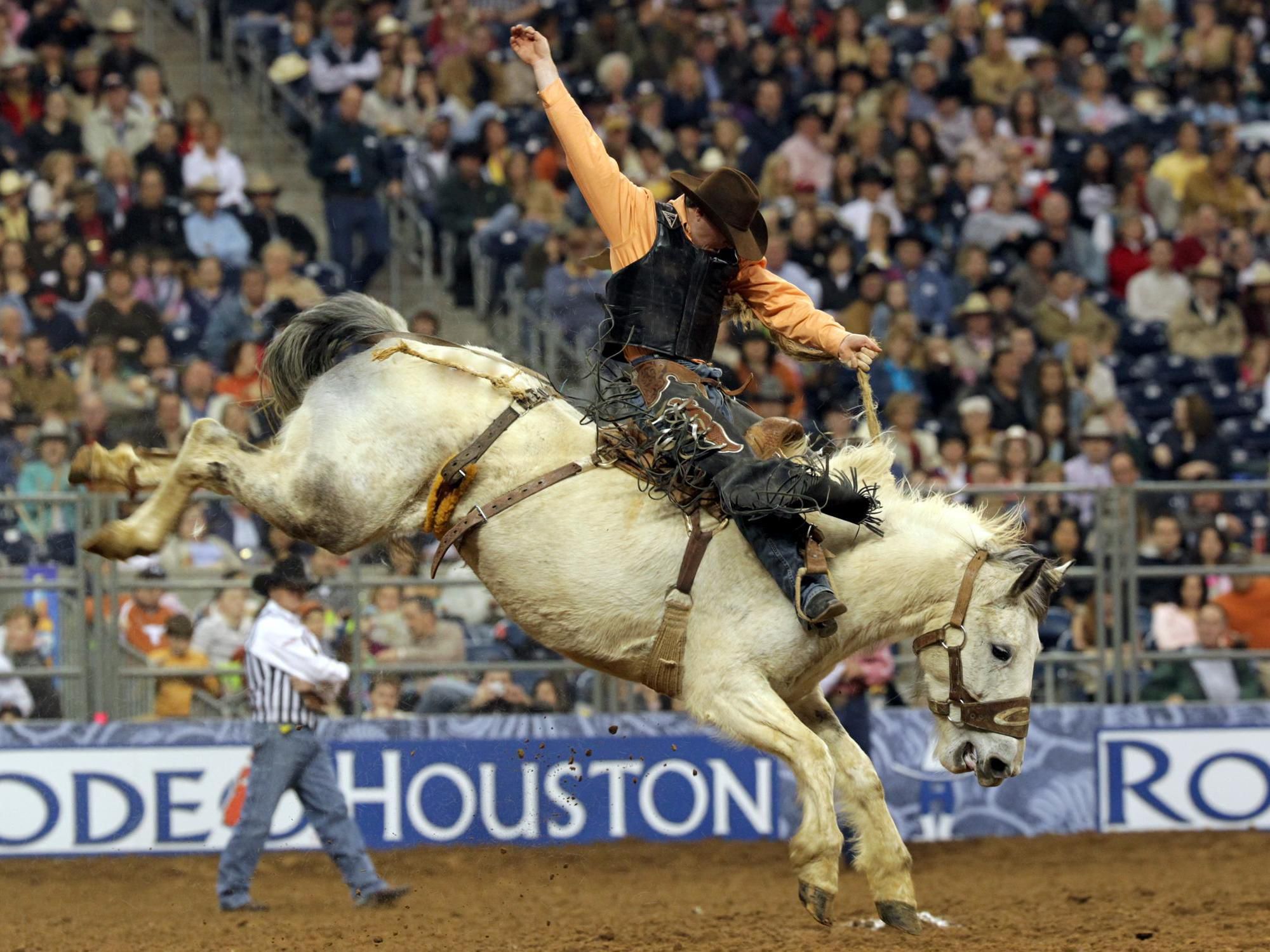 Houston Rodeo