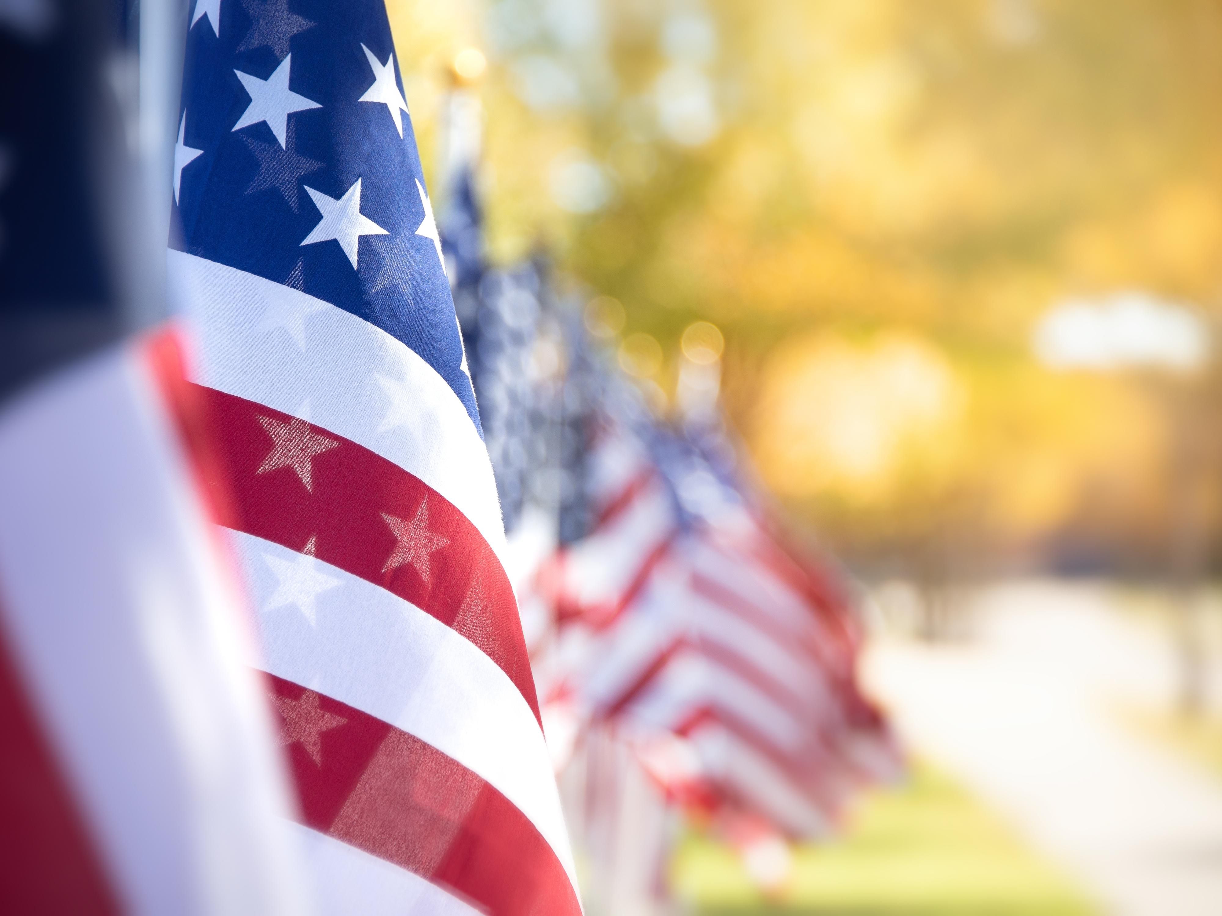 usa flag