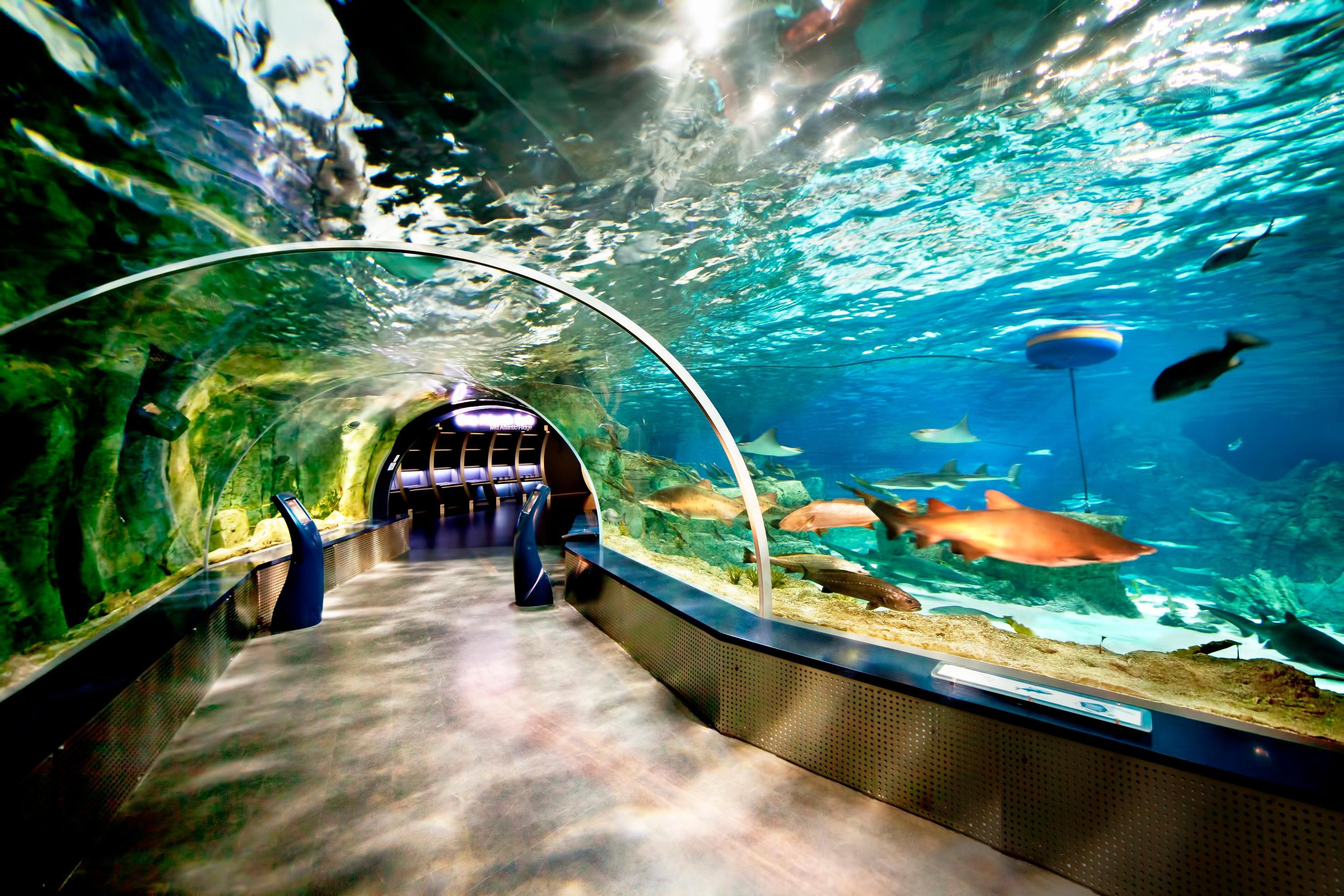 Istanbul Aquarium