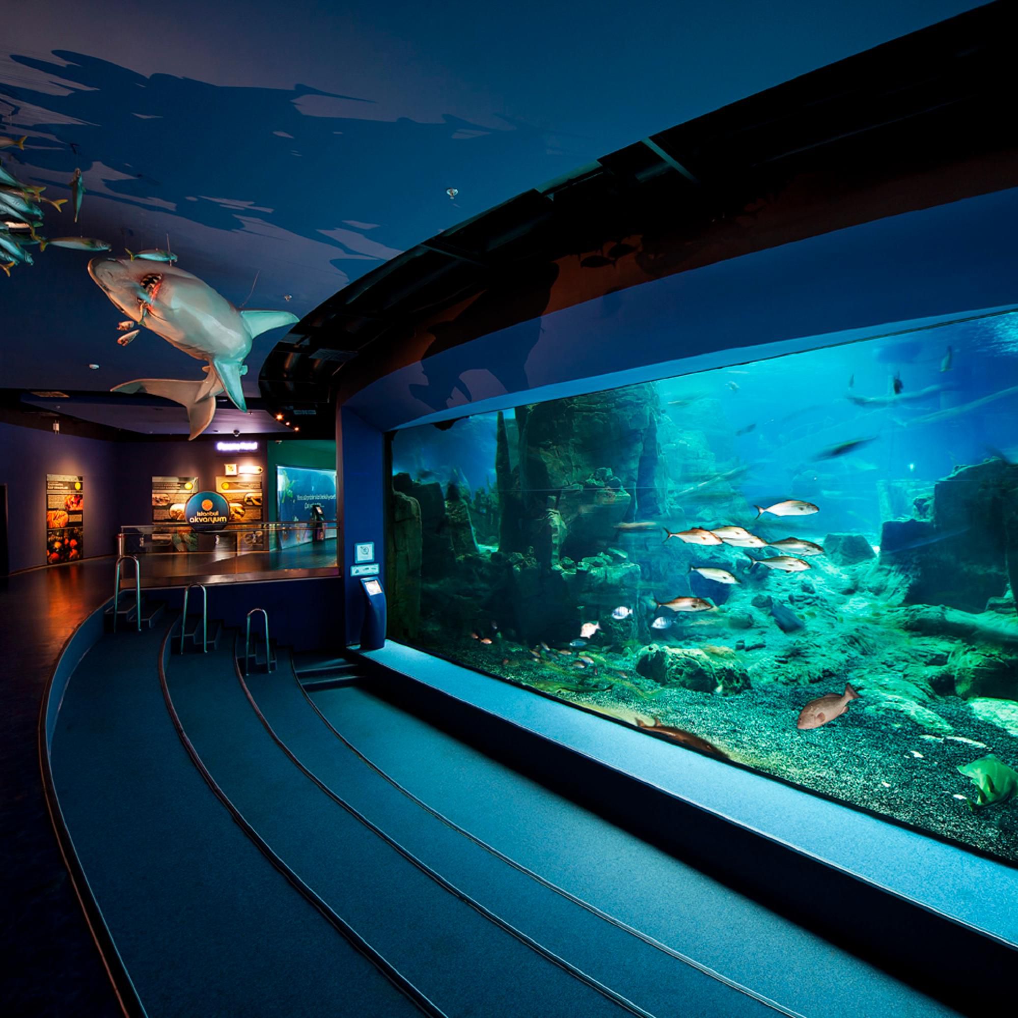 Enjoy Istanbul Aquarium only 2 minutes by walk.