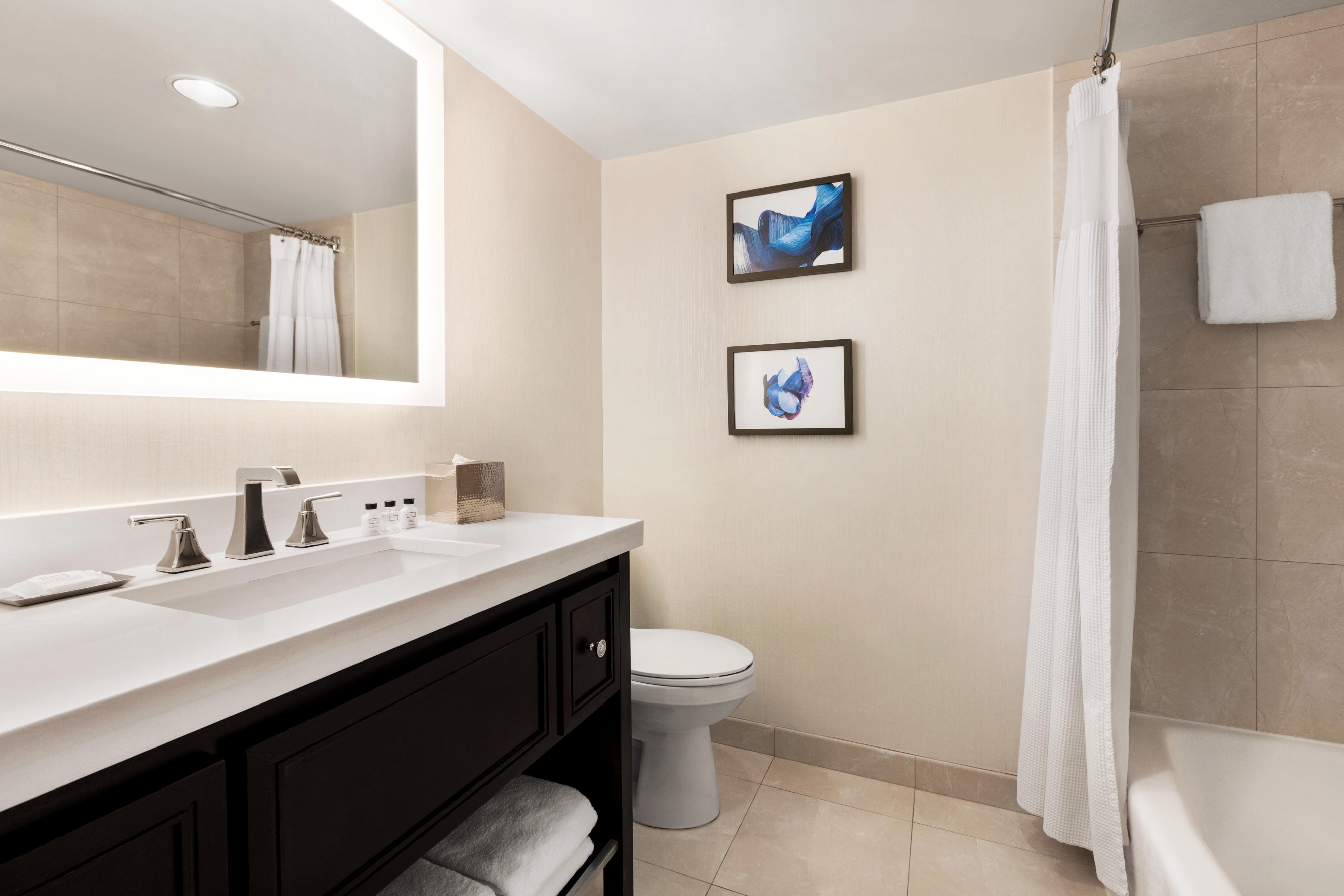 Mobility accessible bathroom with tub