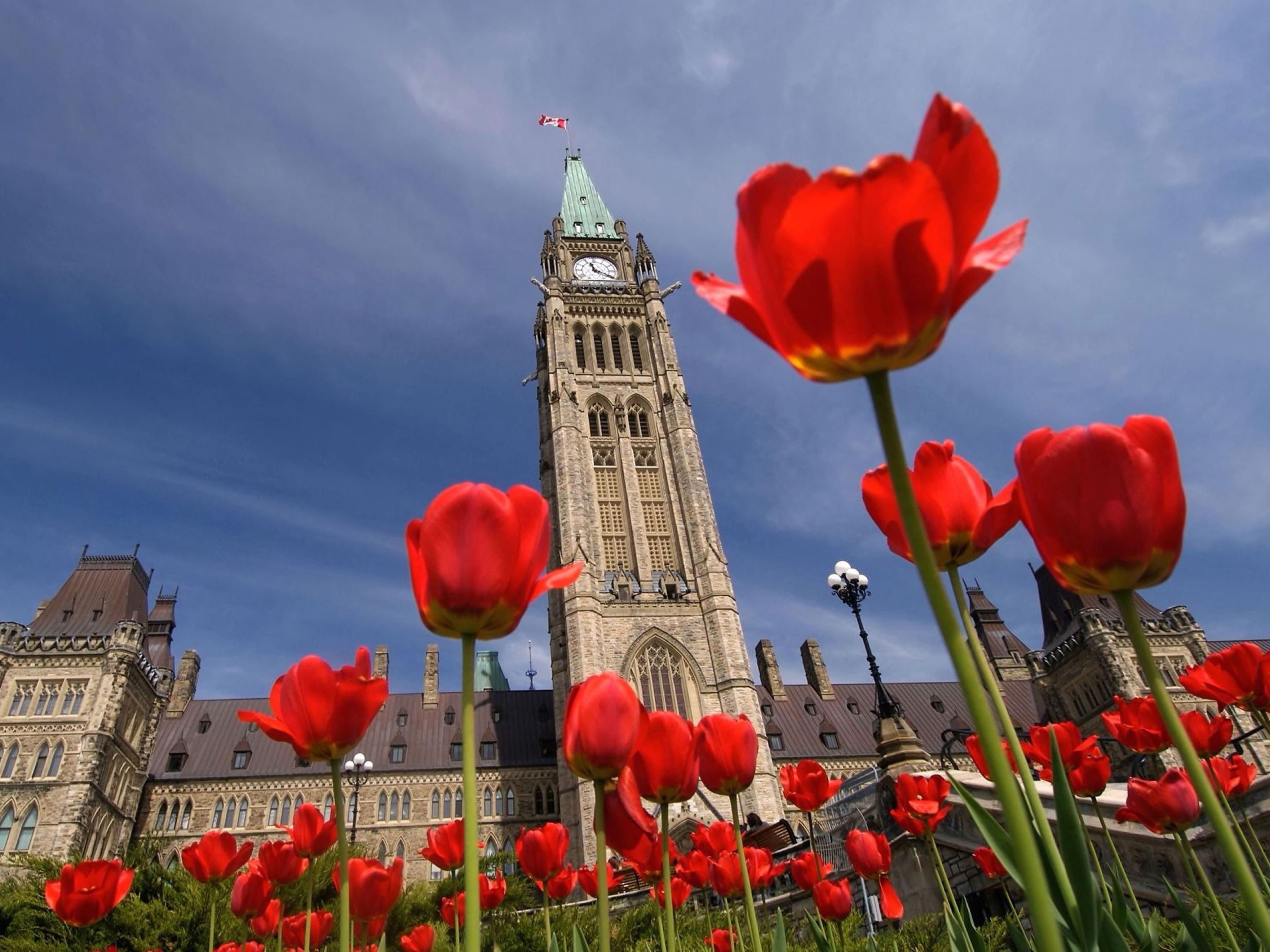 Government of Canada Employee Rate