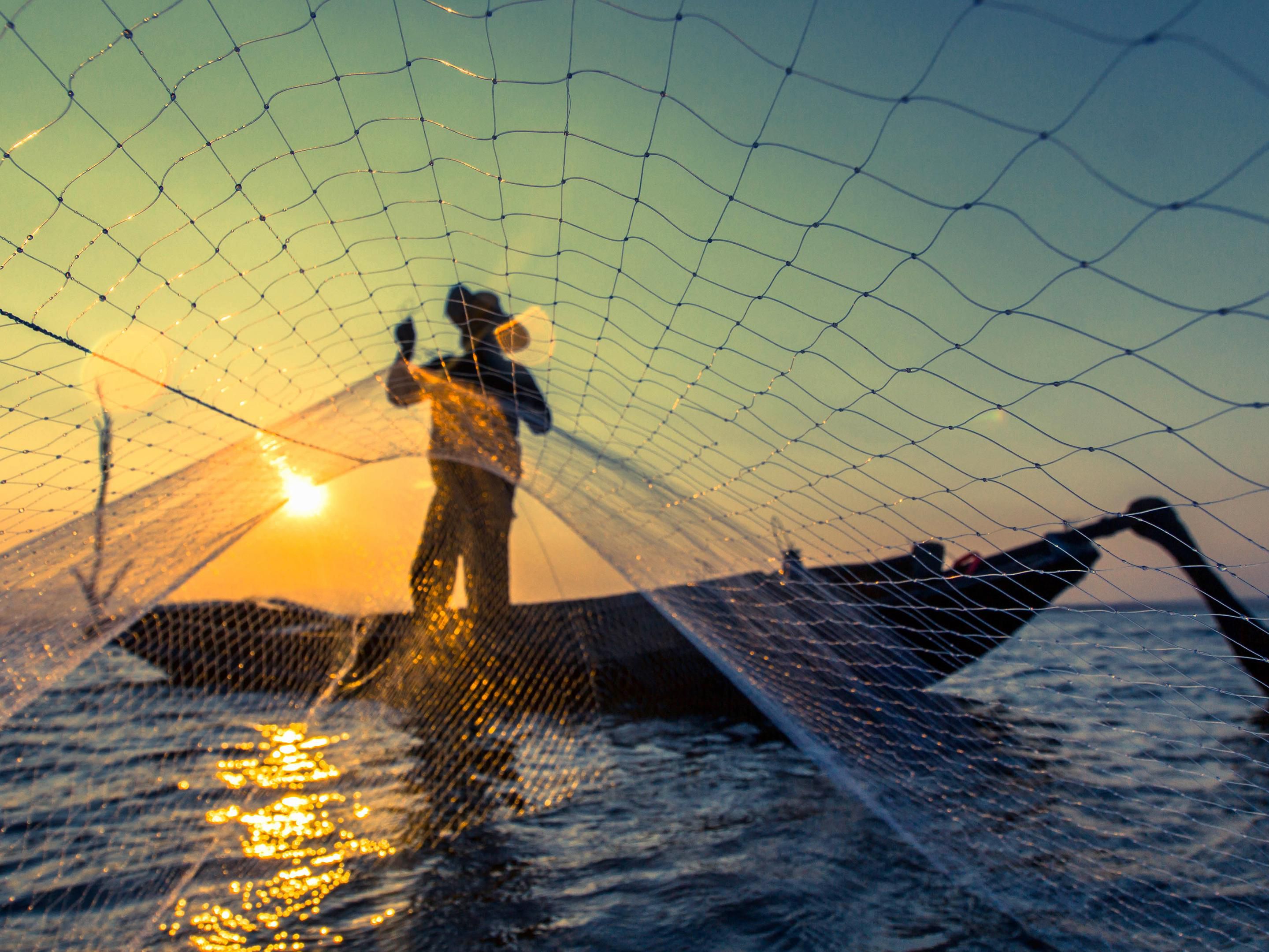 Fisherman's Night