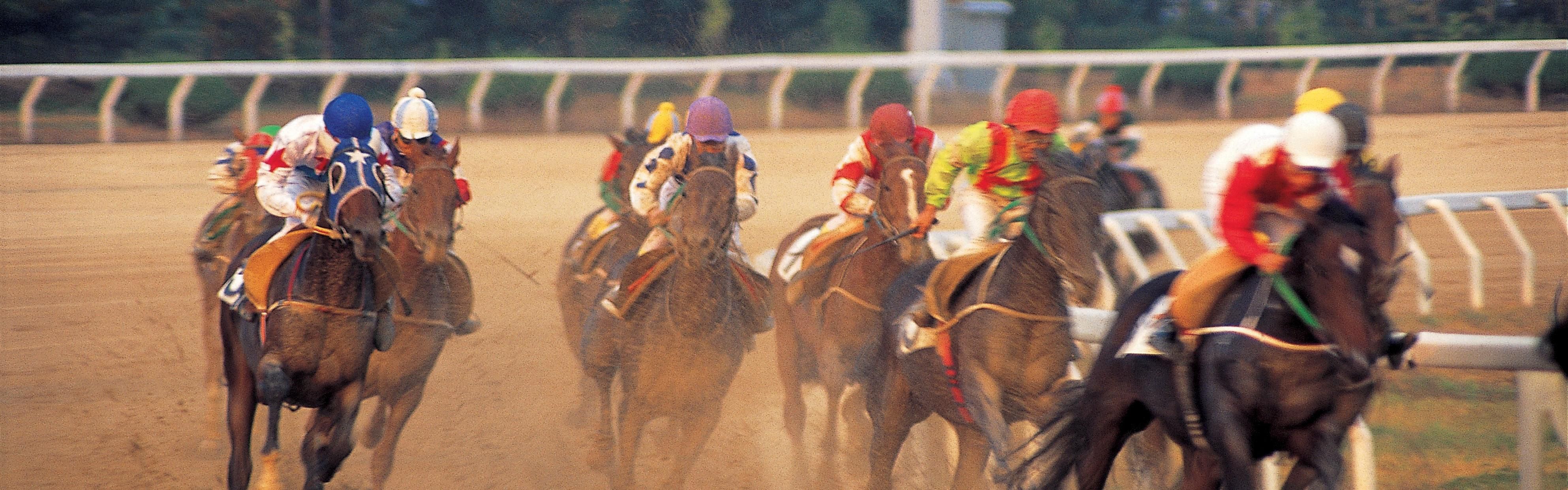 Horse racing in Louisville Kentucky