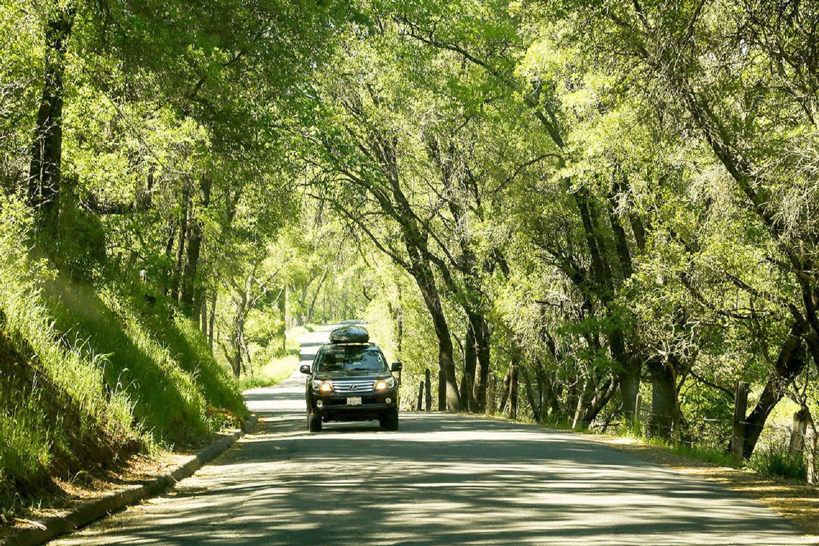 car driving through scenic road