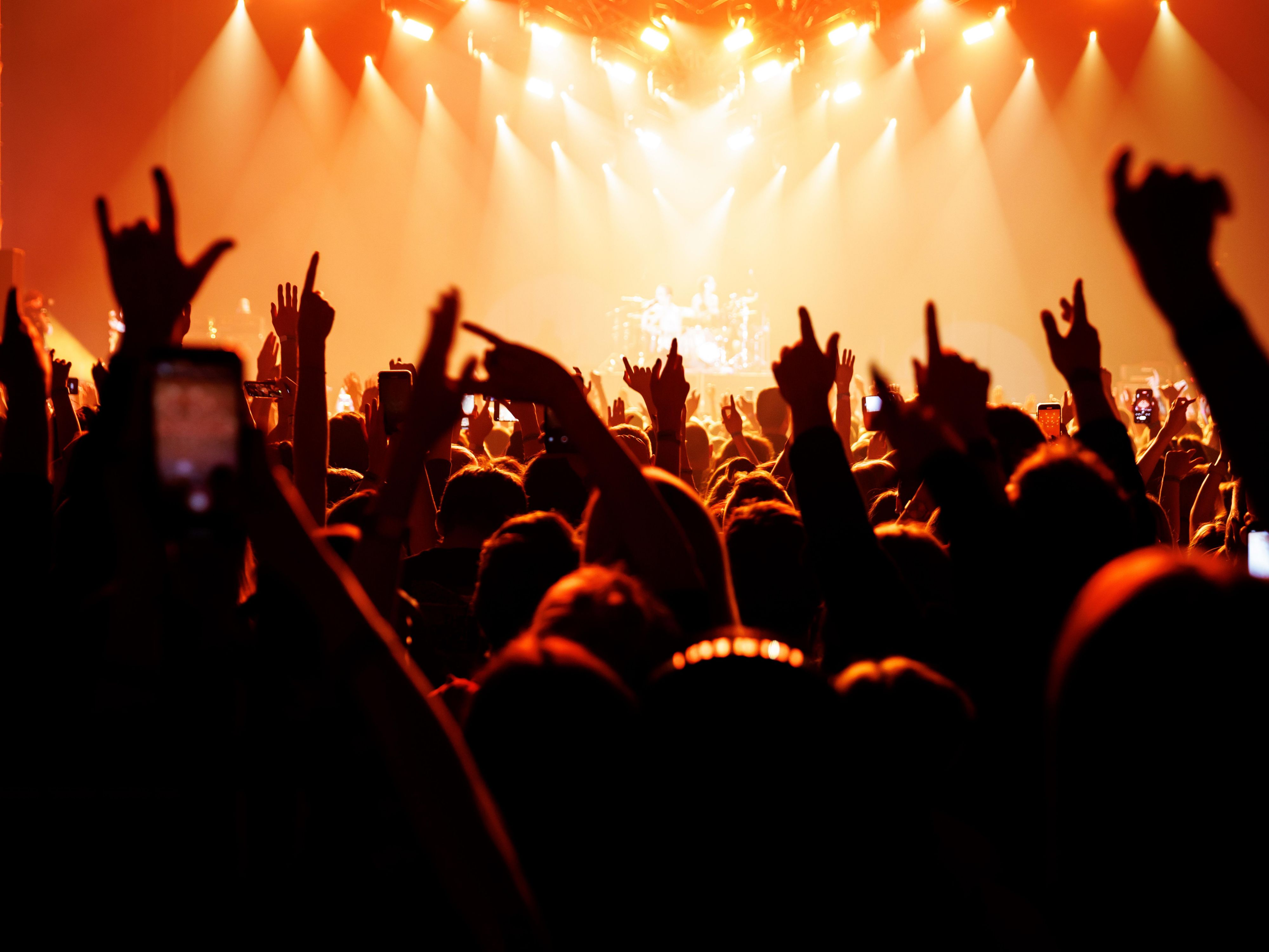 crowd for an outdoor concert