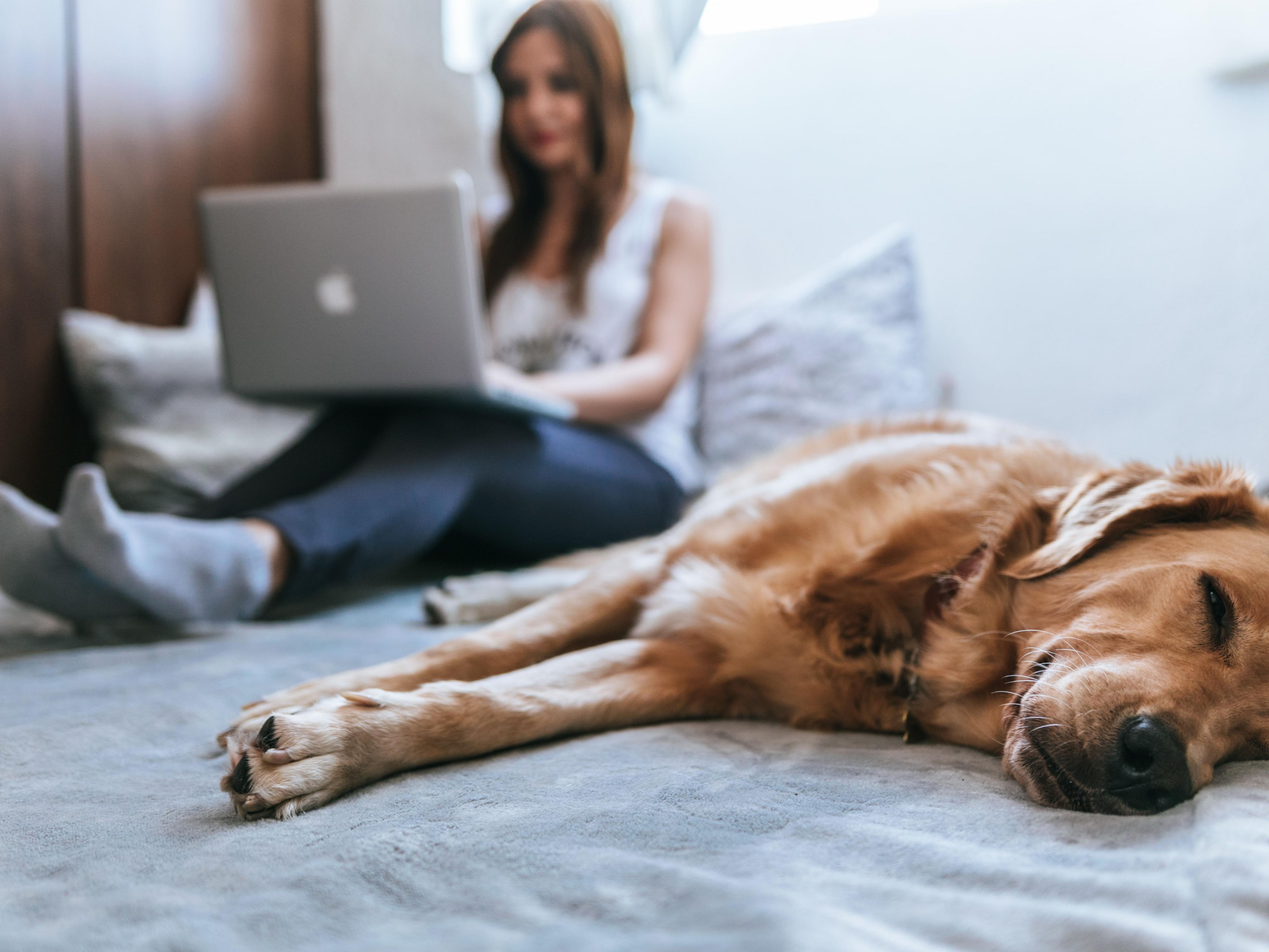 We're delighted to offer pet-friendly stays for you and your beloved four-legged best friends. Bring your entire family and inquire about our new pricing options. Experience our fantastic service with your fur babies at the Crowne Plaza Moncton Downtown!
