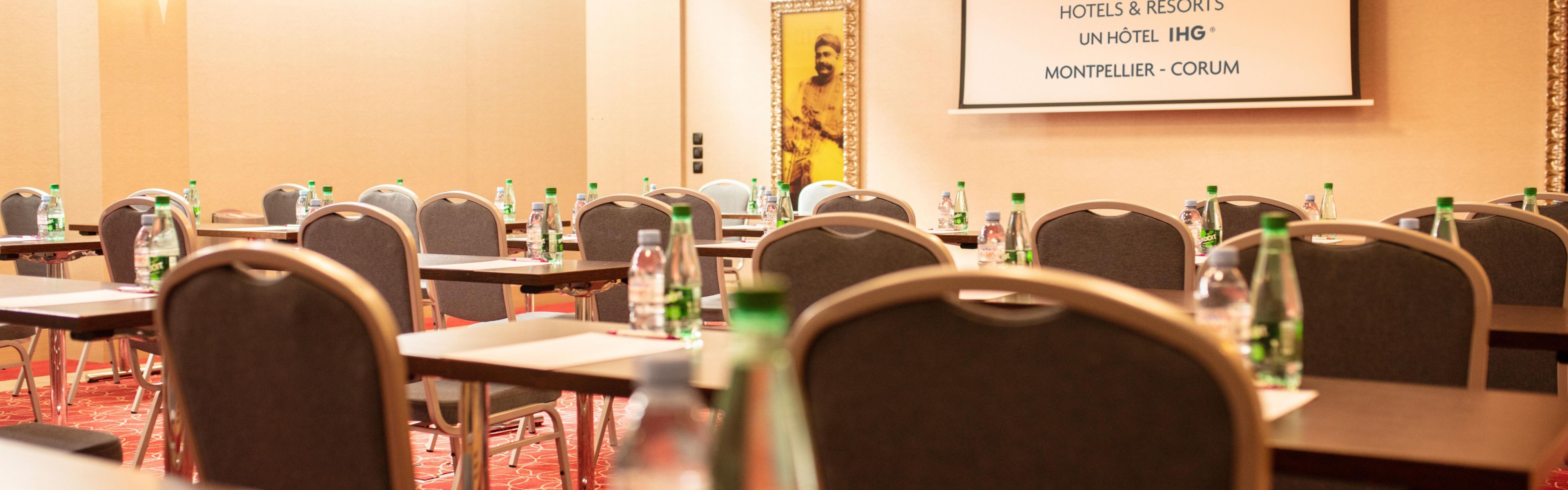 Crowne Plaza Montpellier Corum Hotel Meeting Rooms for Rent