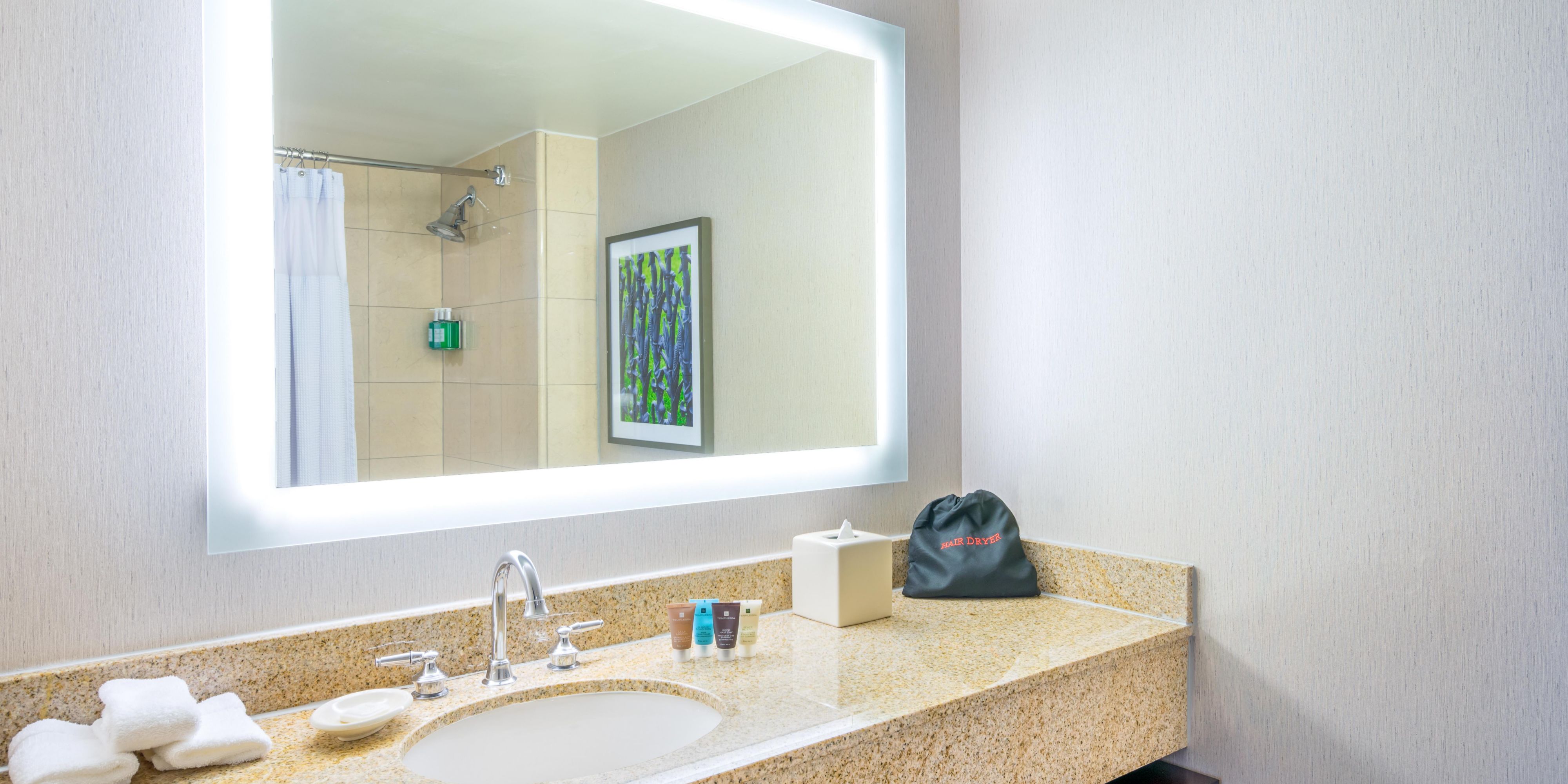 Bathroom vanity in premium hotel room.