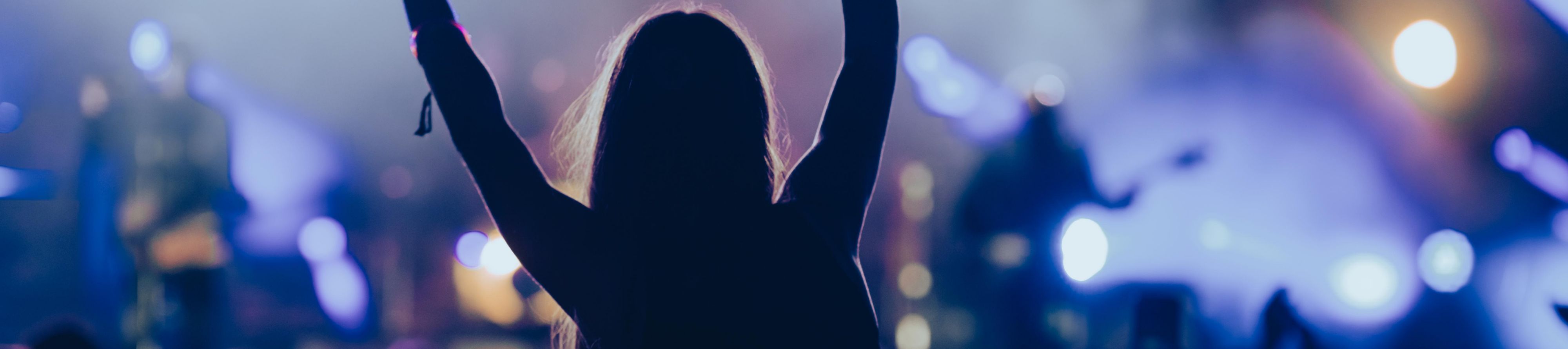 Concert crowd