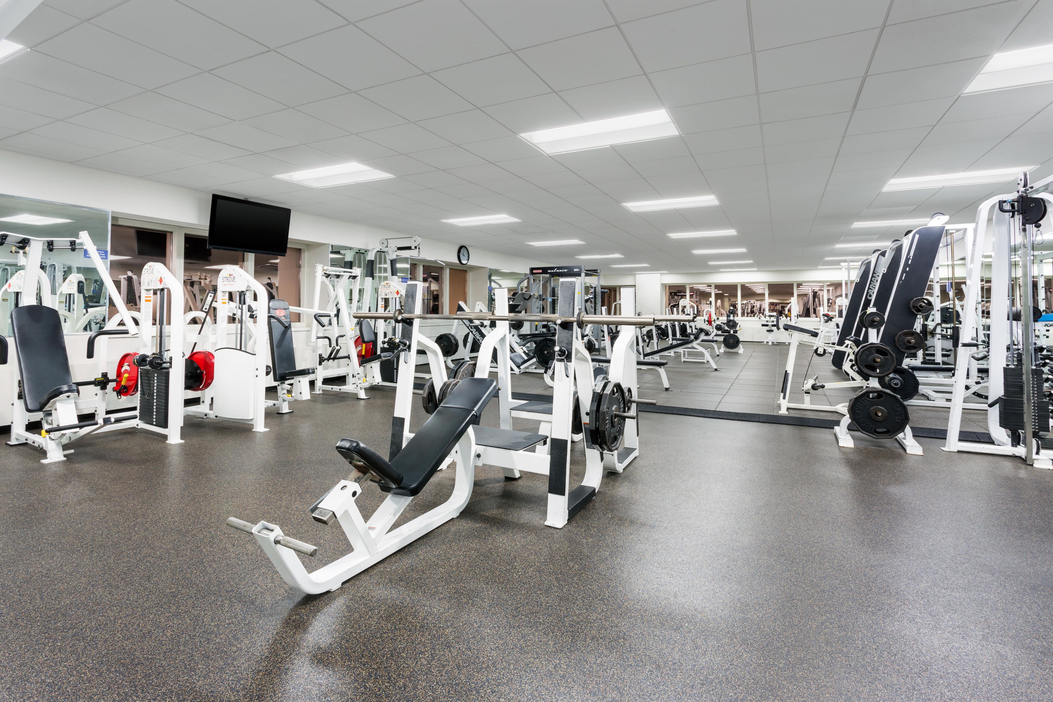 New York Sports Club state of the art fitness center.