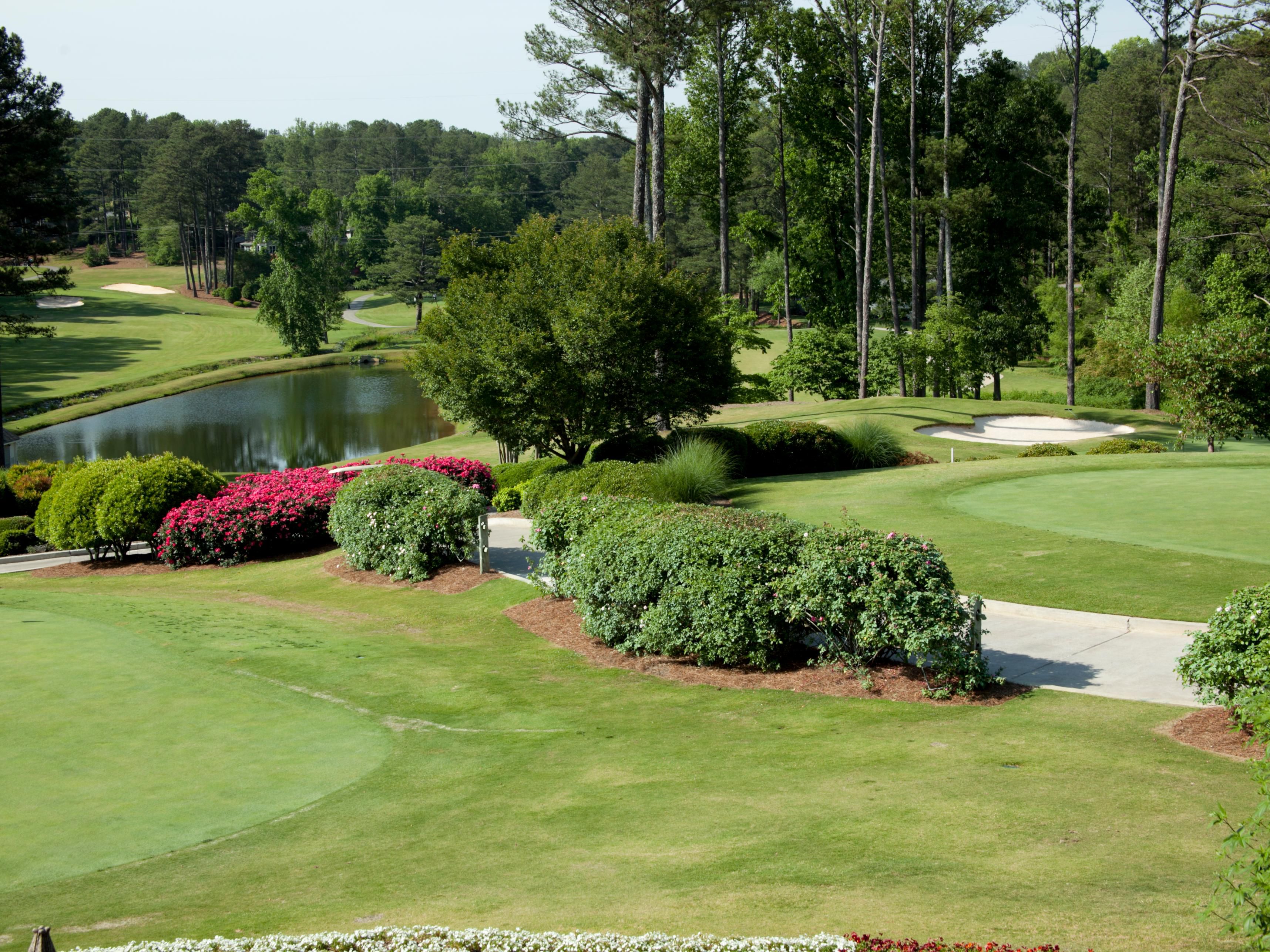 augusta golf