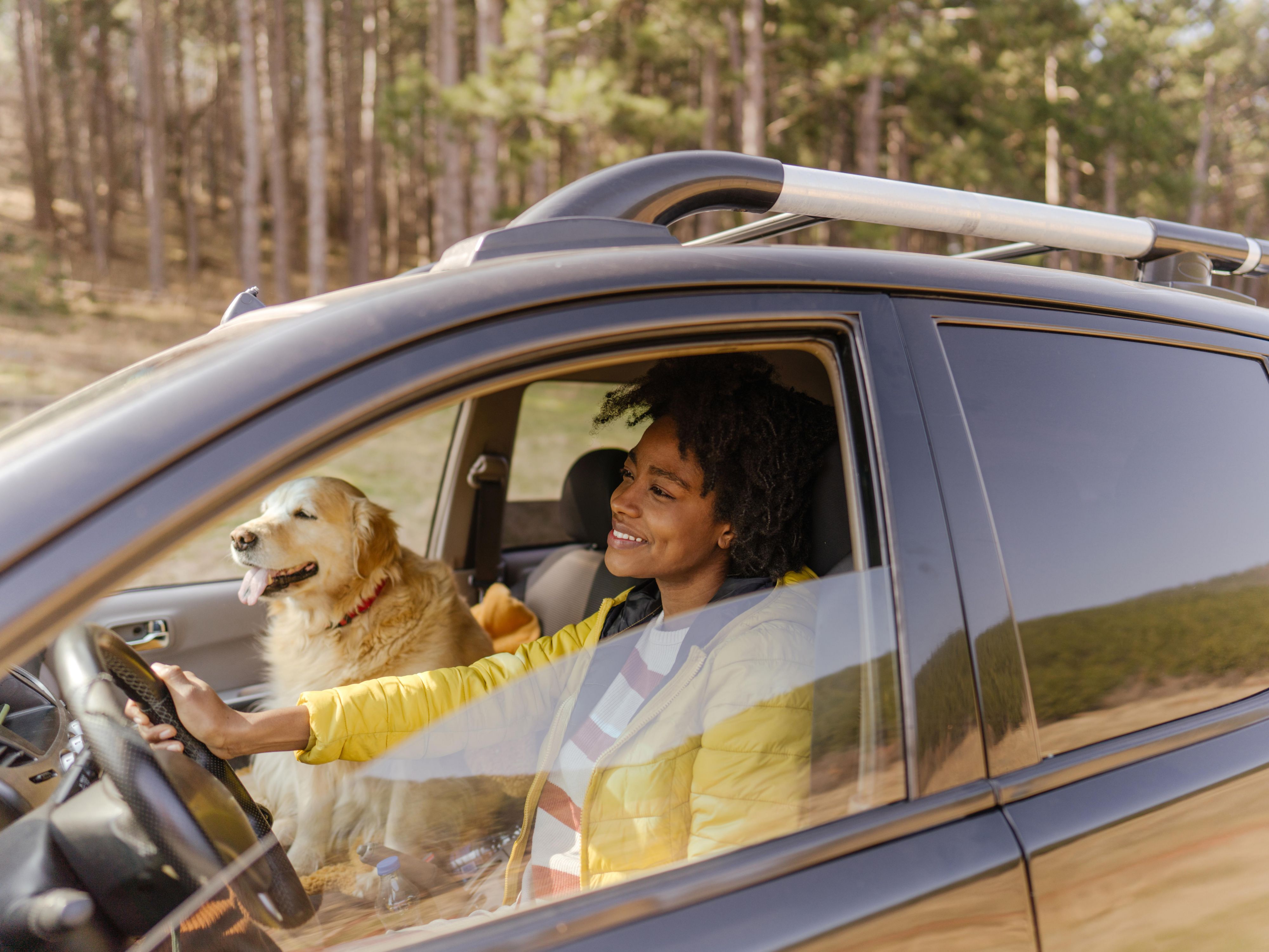 woman driving a car with dog in the passenger seat