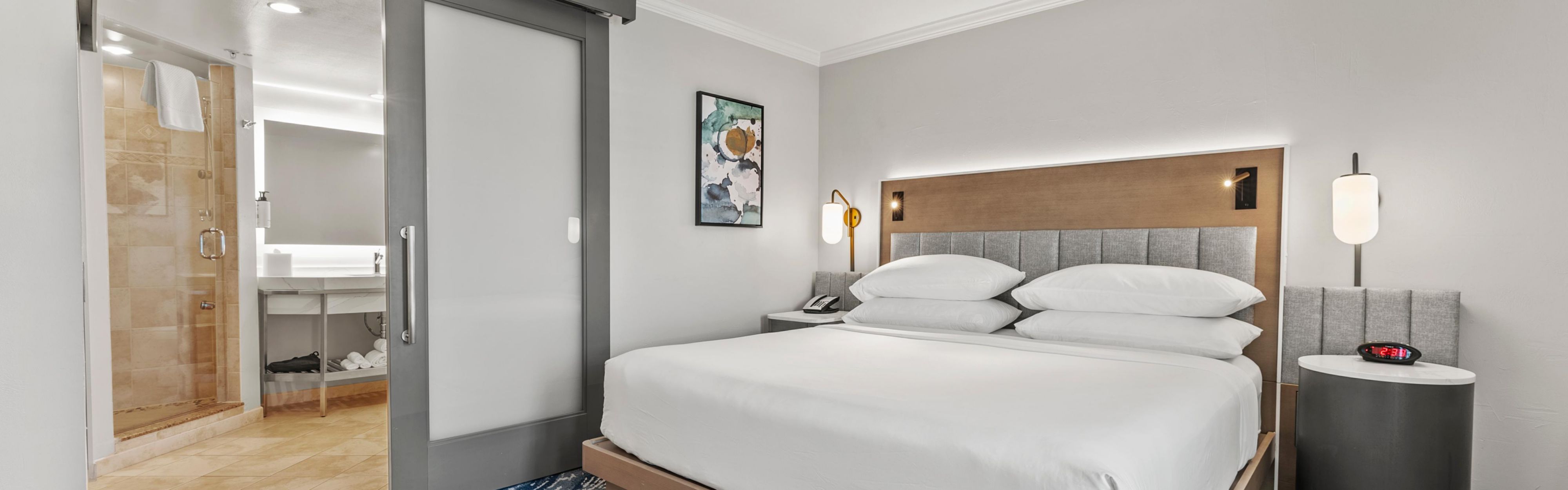 Spacious suite