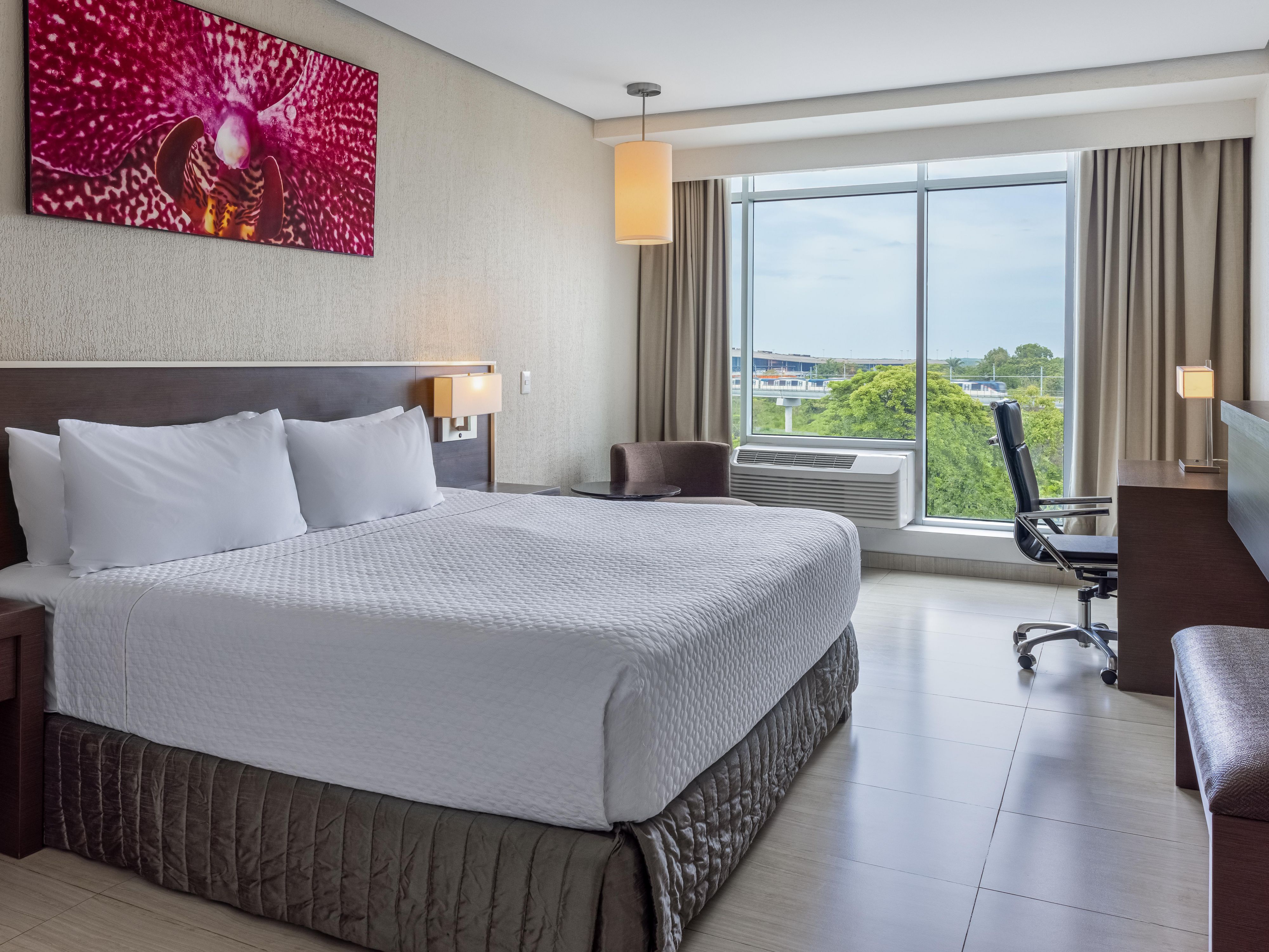 Guest Room with King Bed