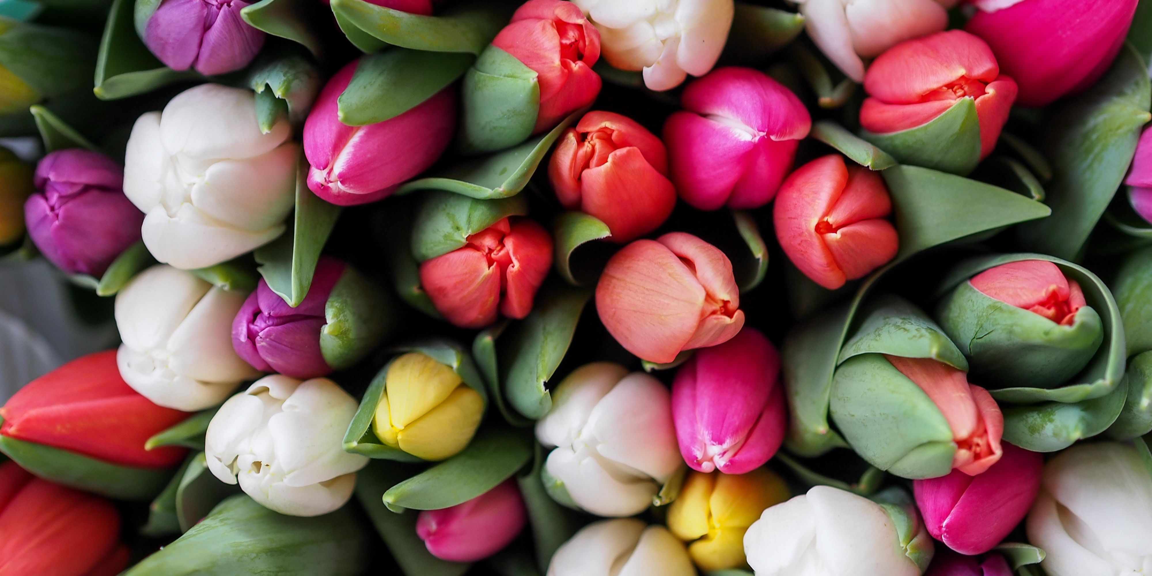 Join us for an unforgettable Easter Brunch experience at our hotel! Indulge in a lavish spread of seasonal delights, from succulent roasts to decadent desserts. Bring the whole family for a day filled with delicious food, festive treats, and joyful moments. Reserve your table now, and let's make this Easter one to remember!