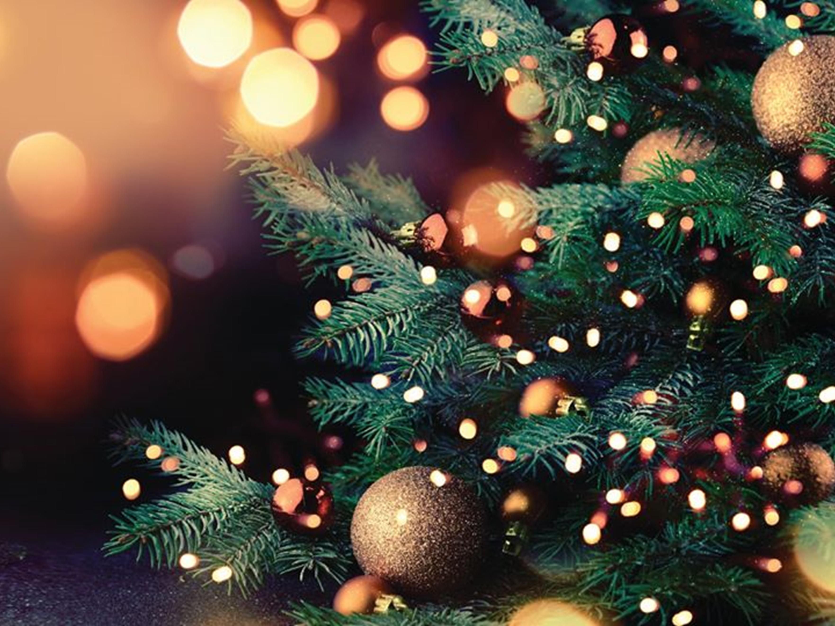 Celebrate the holiday season with a festive Christmas dinner featuring live entertainment, or join us for a joyful Christmas Day lunch. Savor flavorful starters, hearty mains, and sweet desserts with family and friends.