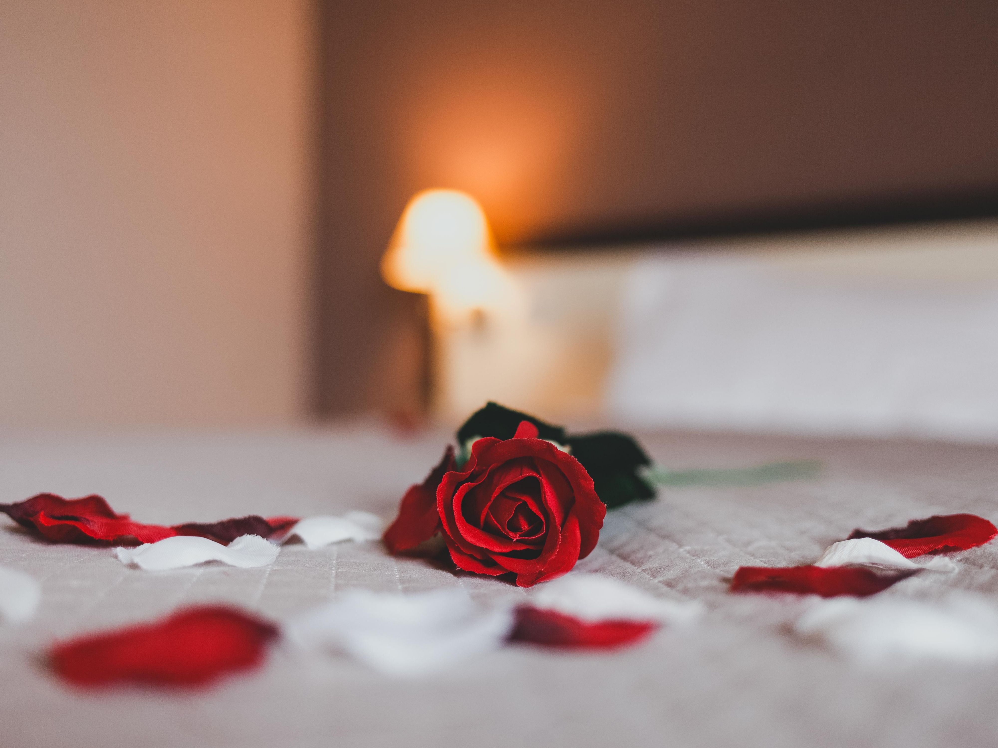 Фото цвечи розы на полу на кровати романтика