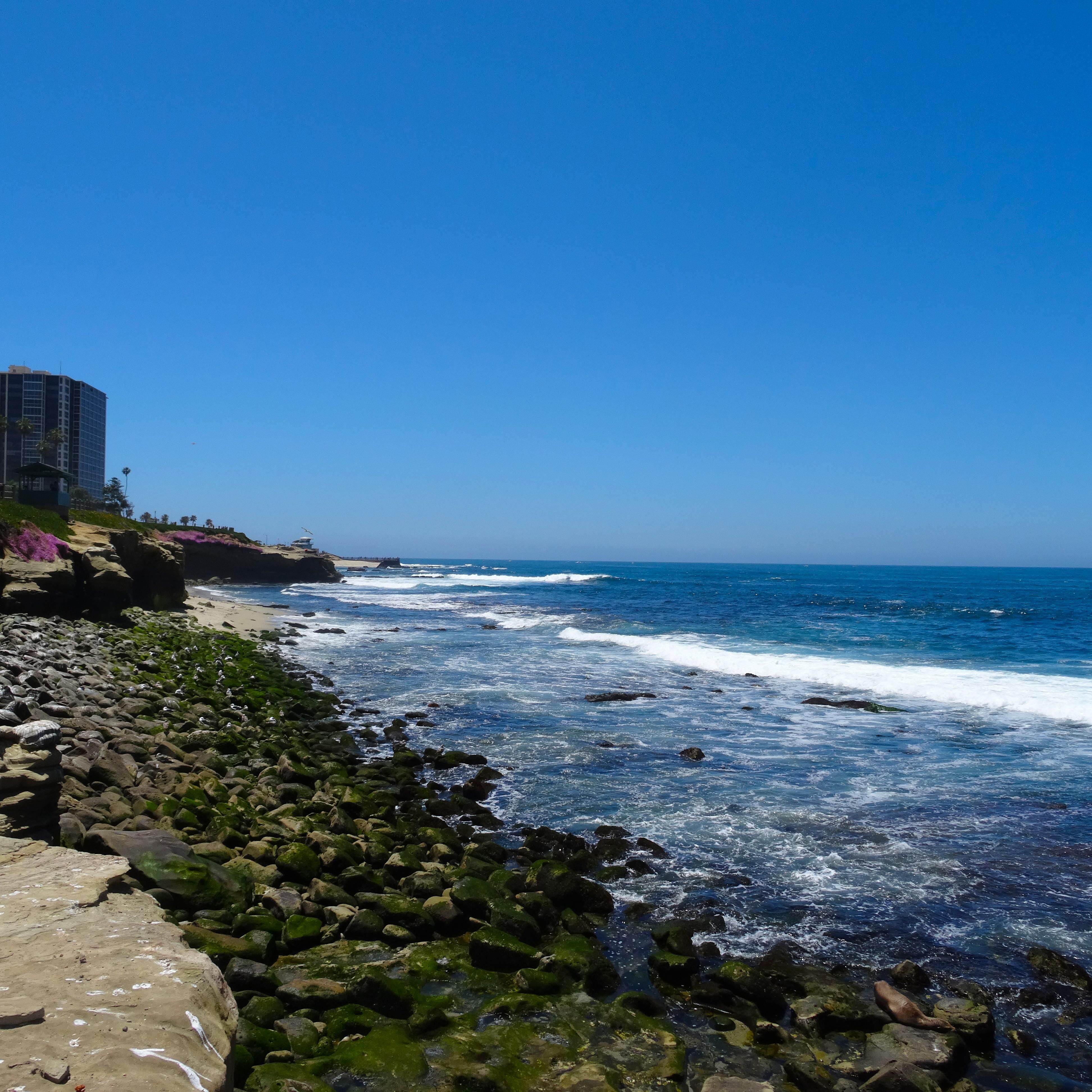 La Jolla Cove within a 10 mile proximity of Crown Plaza San Diego