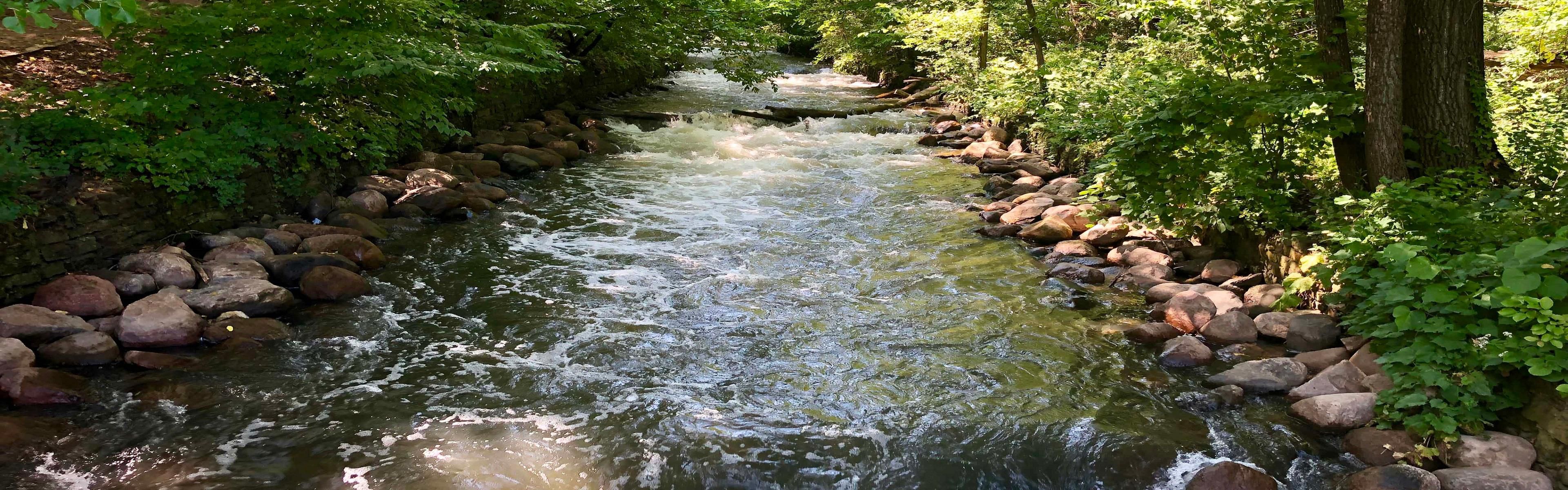 Discover our favorite things to do in Bloomington, MN.